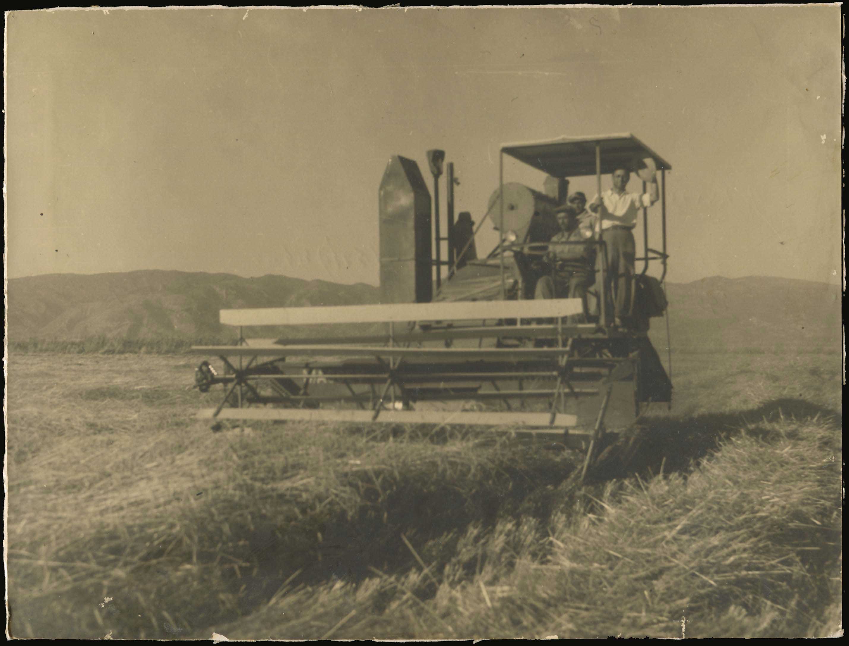 Lot 05395