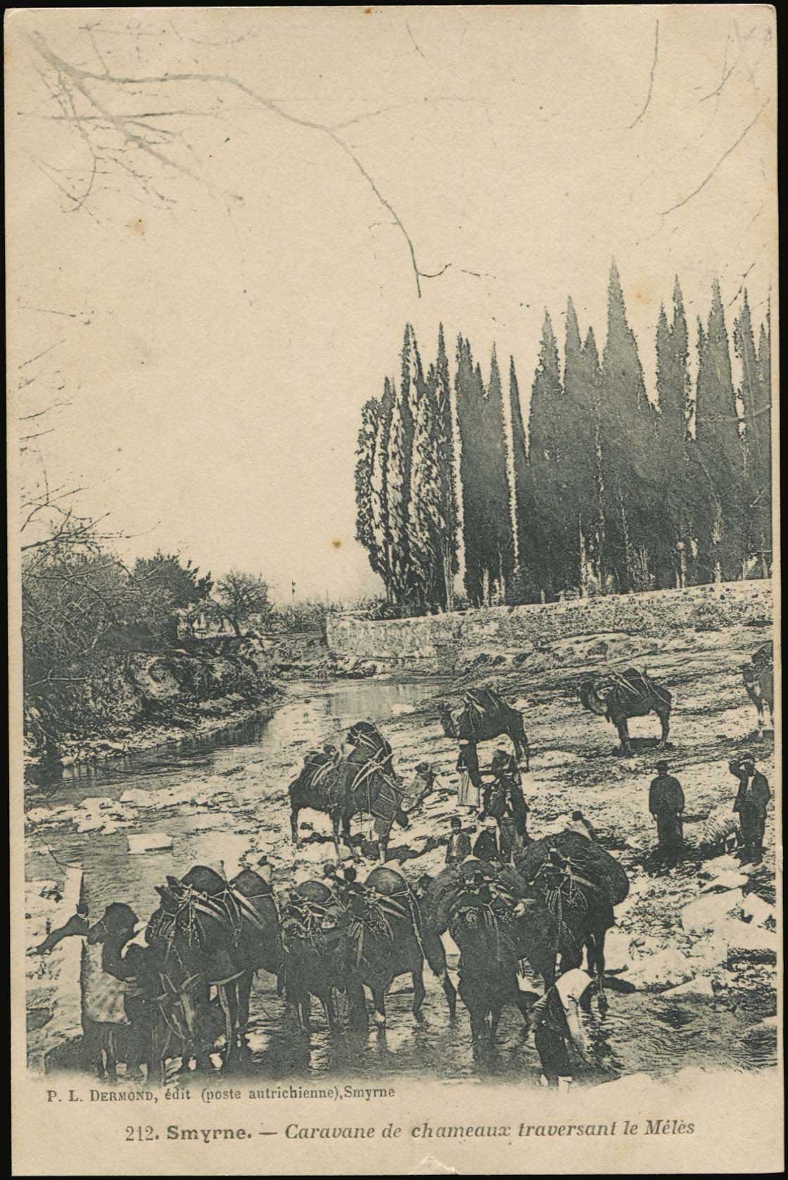 Lot 02124