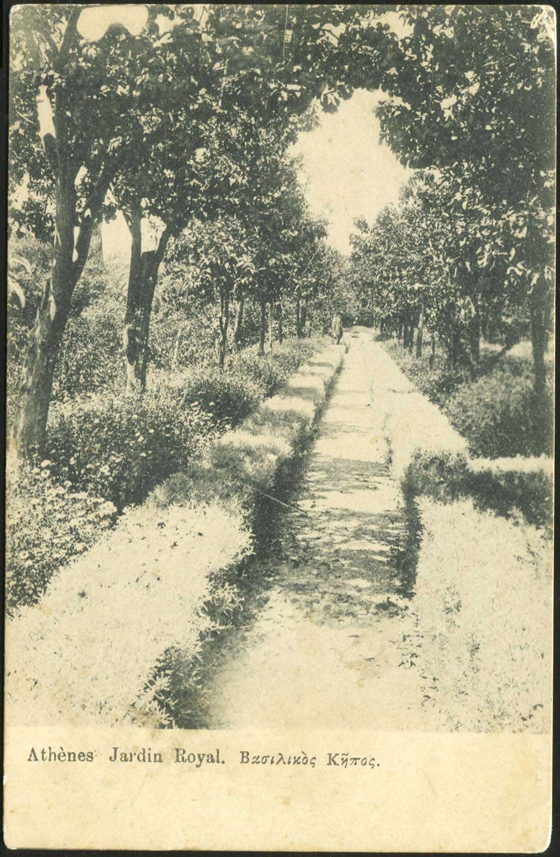 Lot 01551