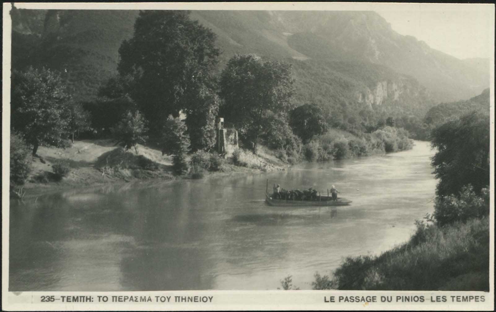 Lot 01540