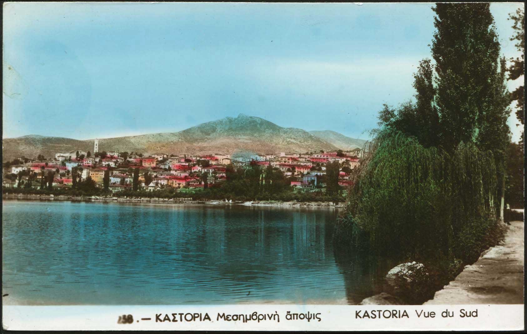 Lot 03541
