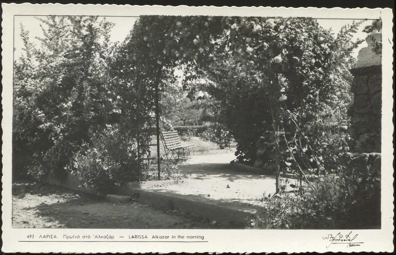 Lot 01593