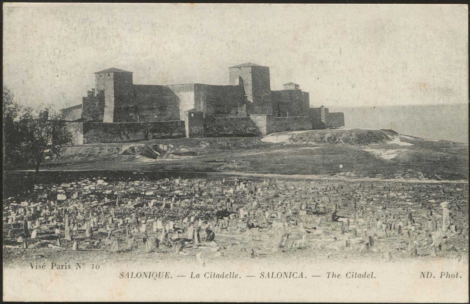 Lot 01633