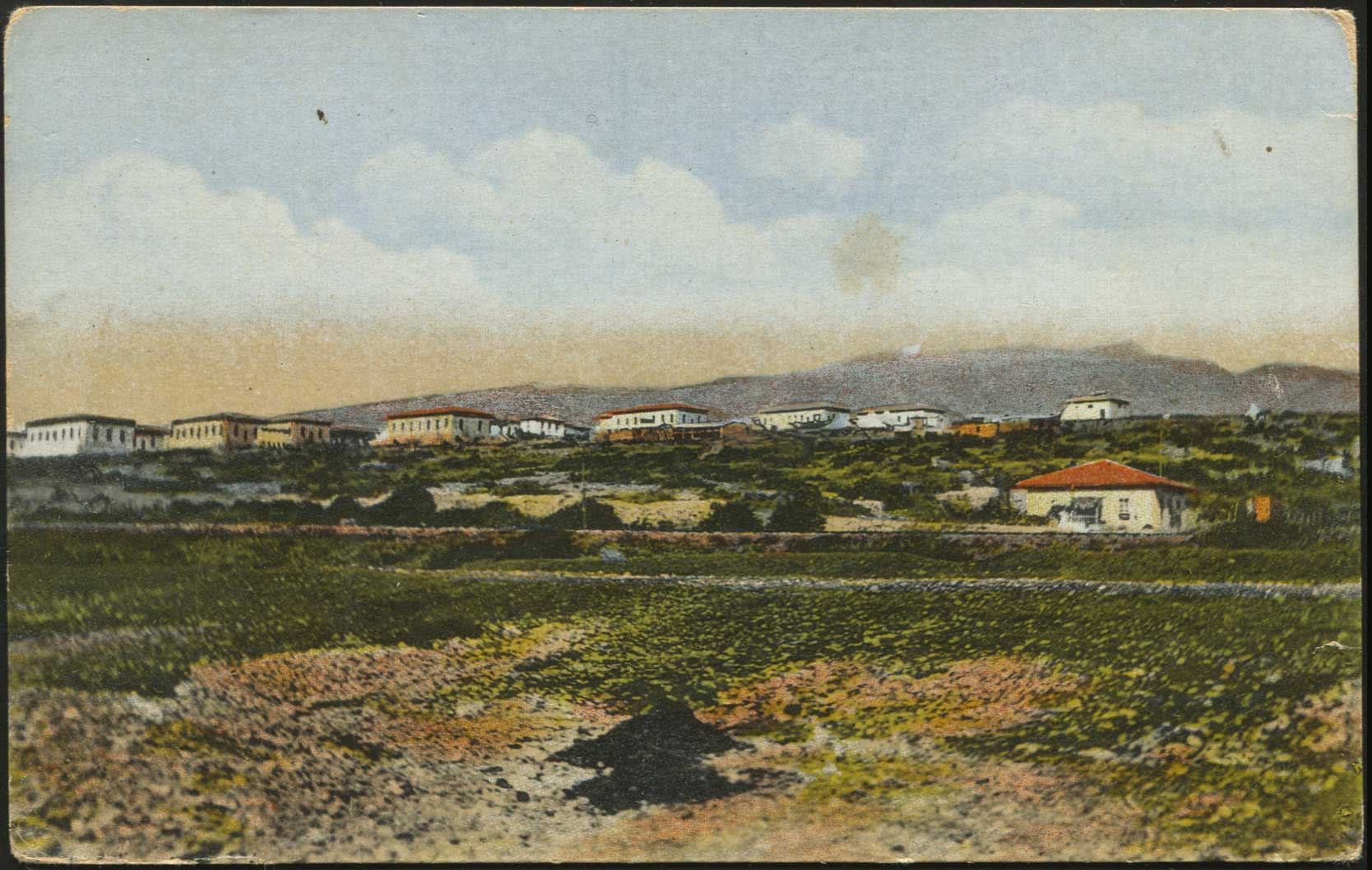 Lot 01875