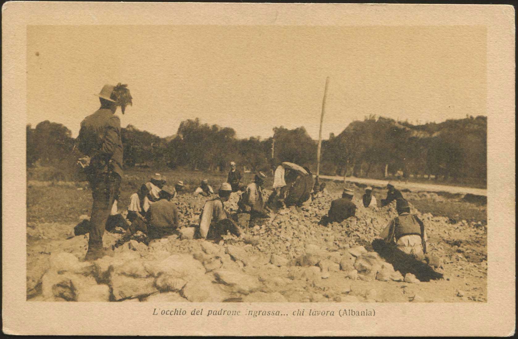 Lot 02004