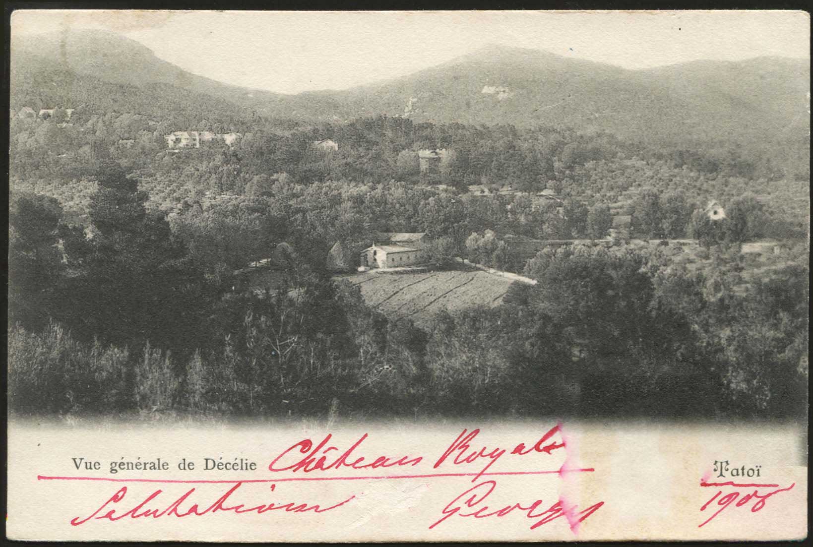 Lot 01542