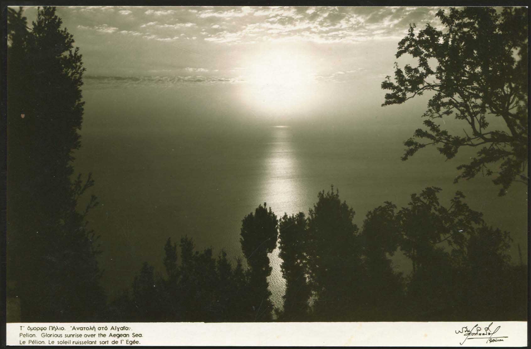Lot 02072