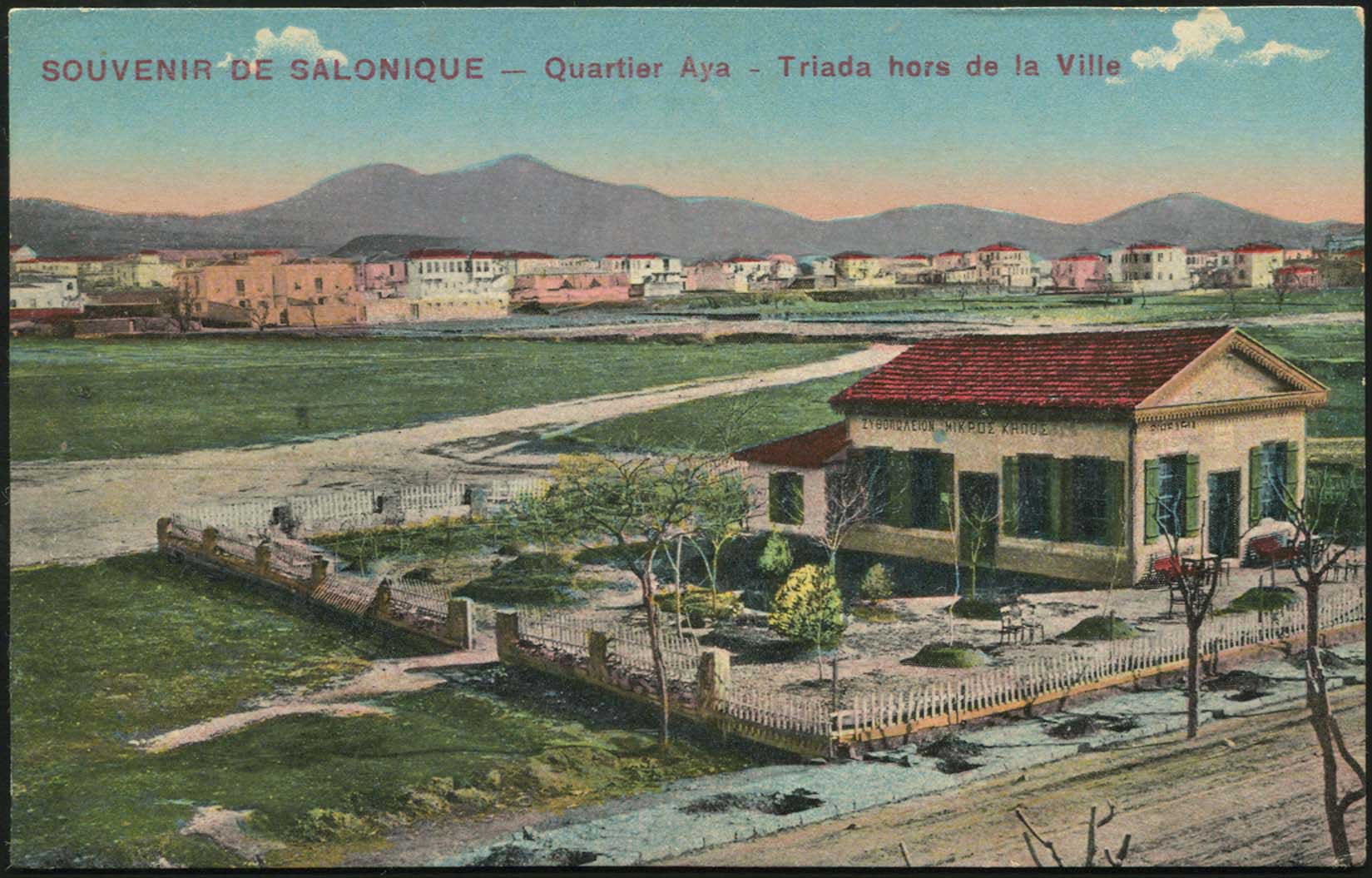 Lot 01631