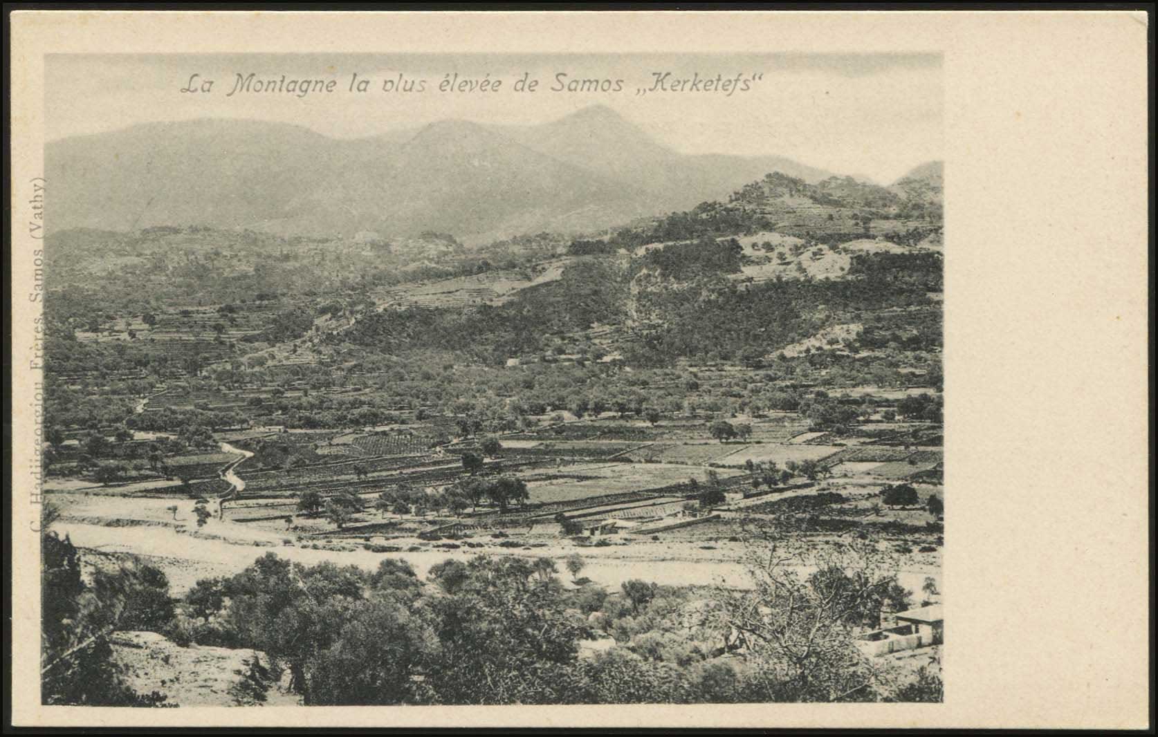 Lot 01319