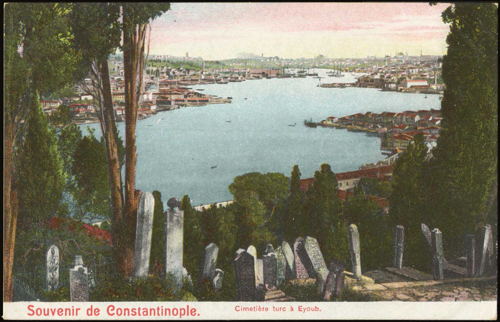 Lot 01719
