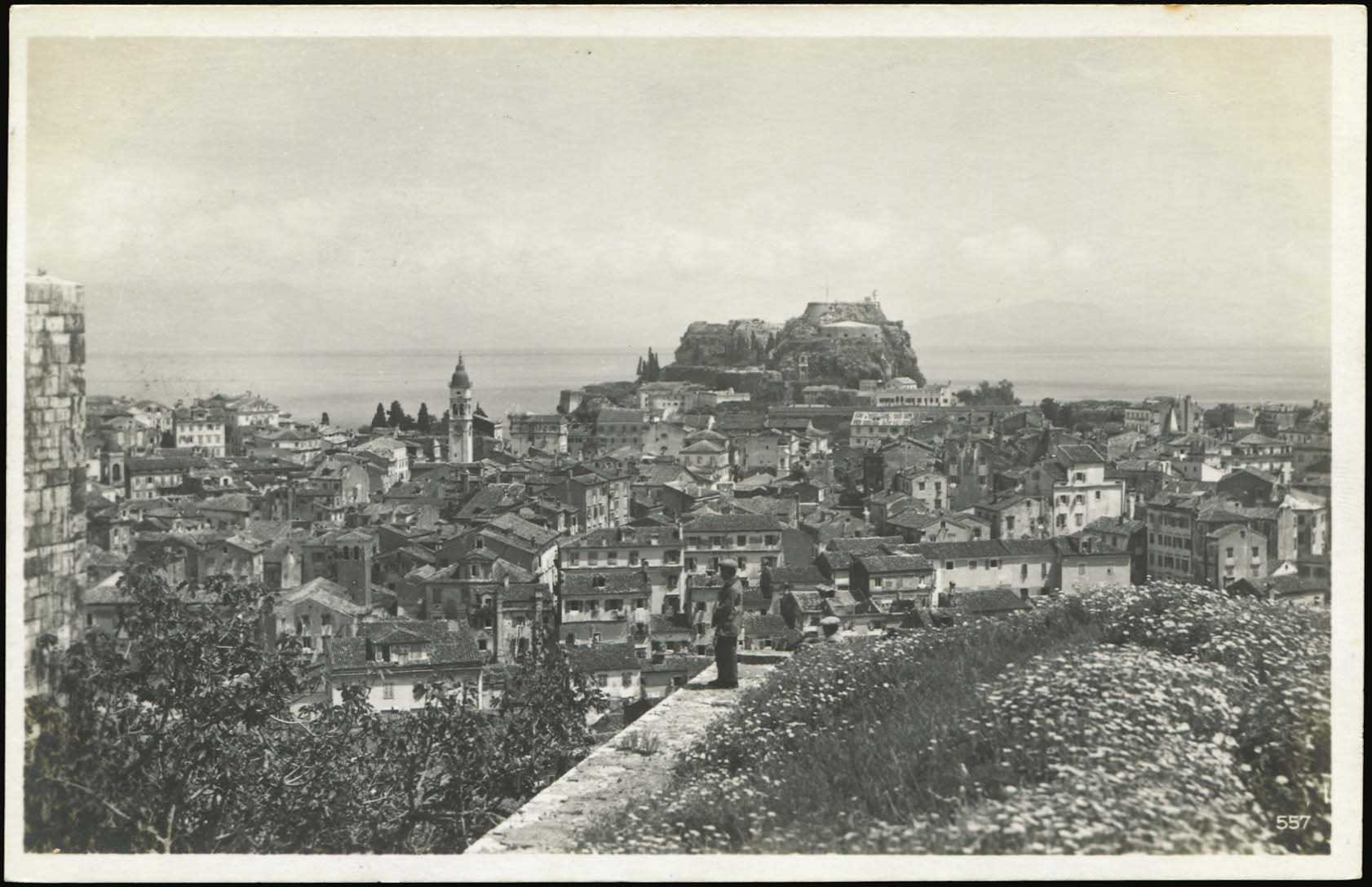 Lot 01557