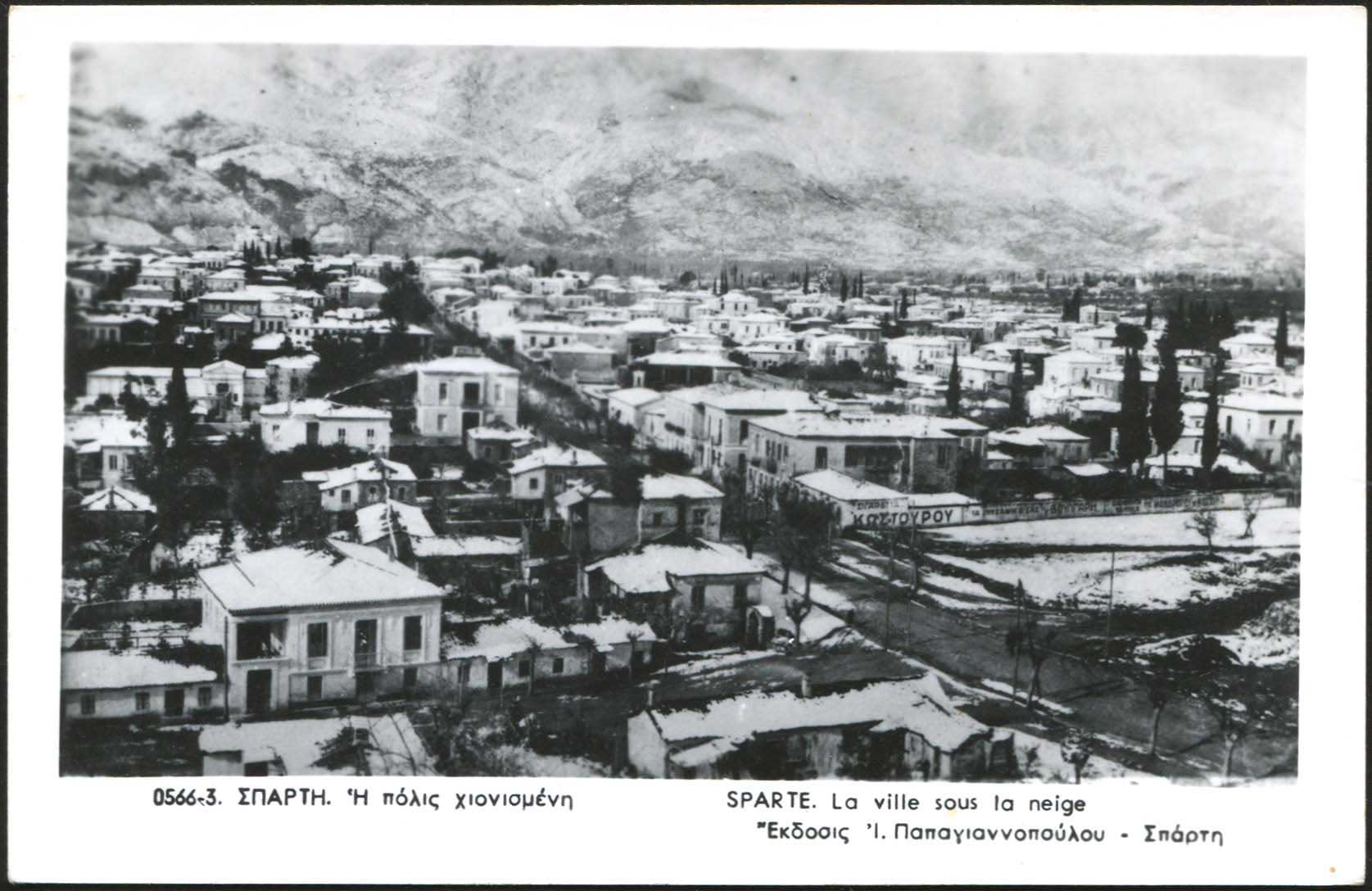 Lot 01915