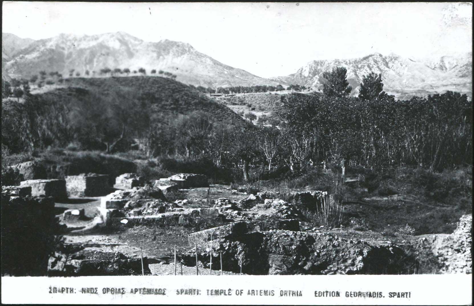 Lot 01879