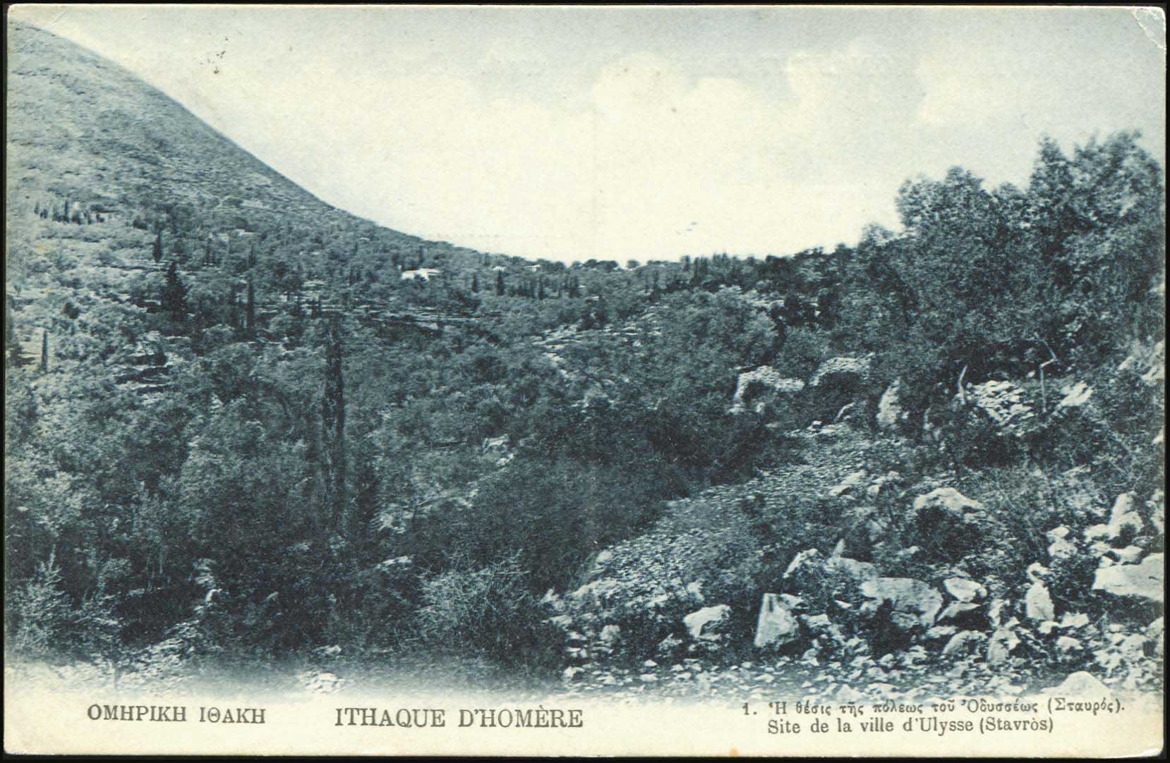 Lot 01565