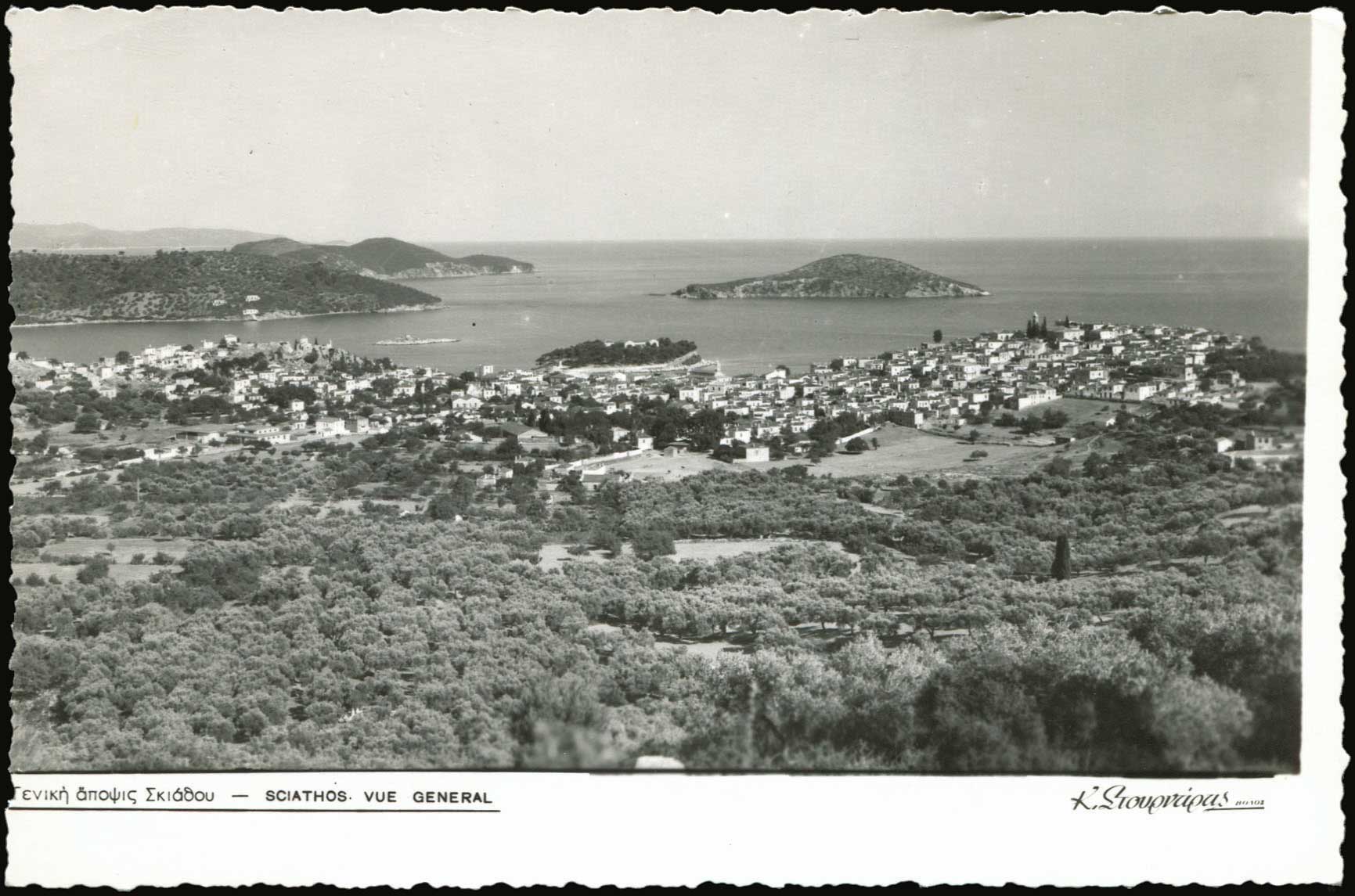 Lot 01566