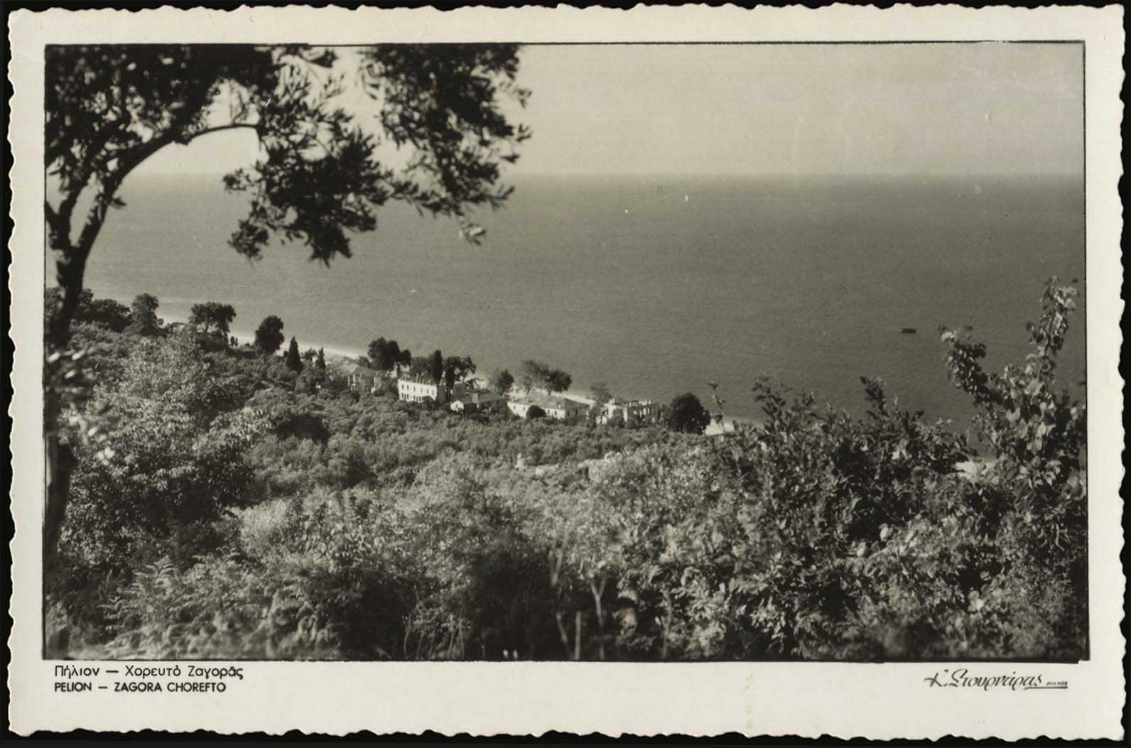 Lot 03661