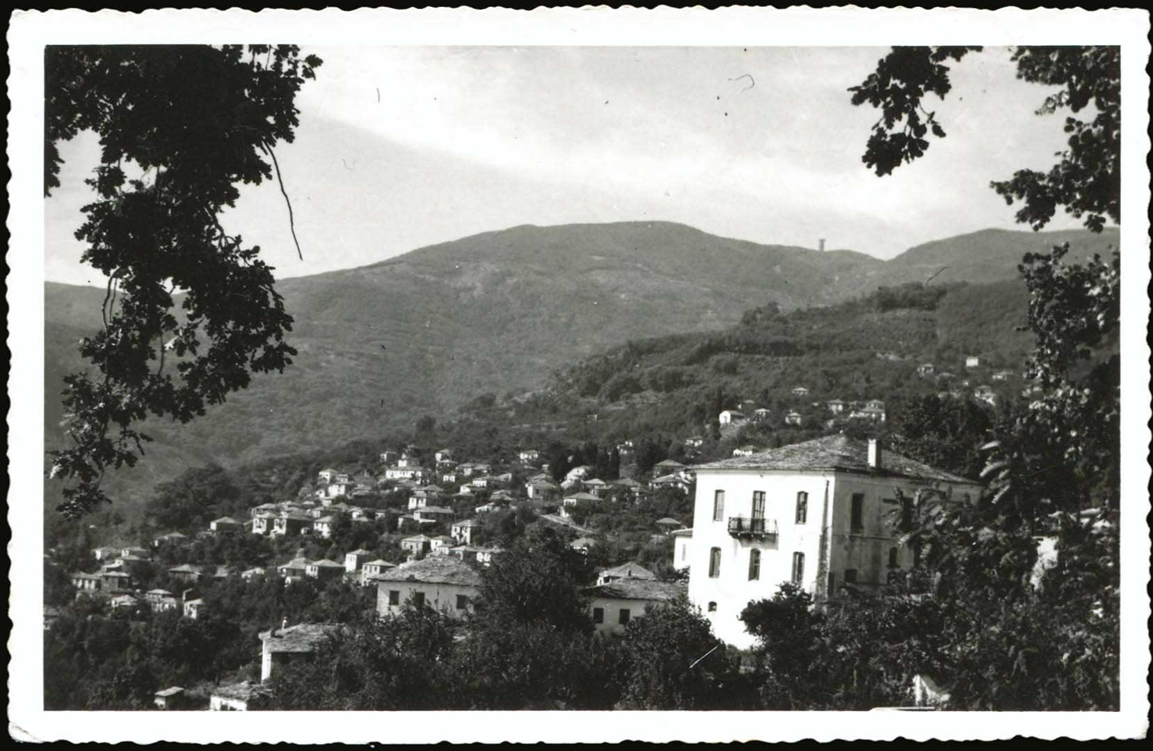 Lot 01531