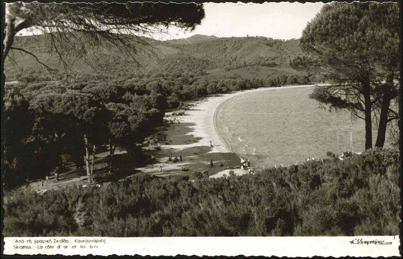 Lot 01554