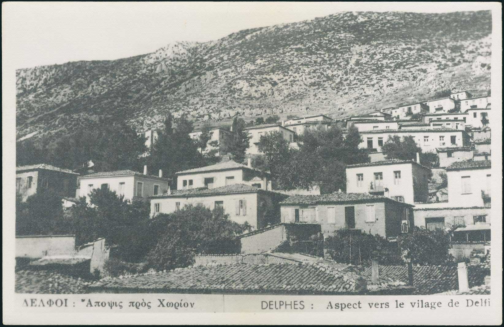 Lot 03541
