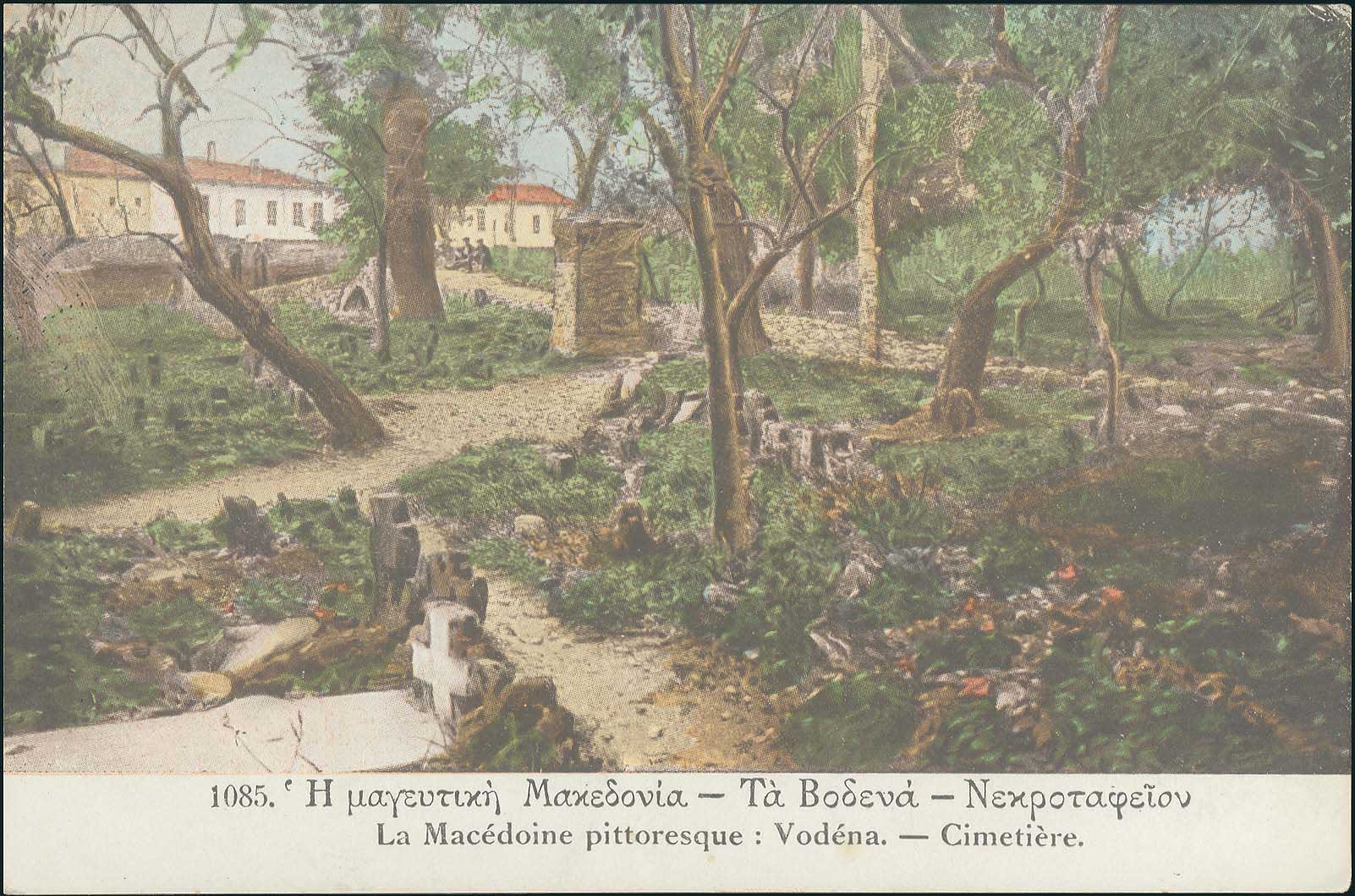 Lot 03572