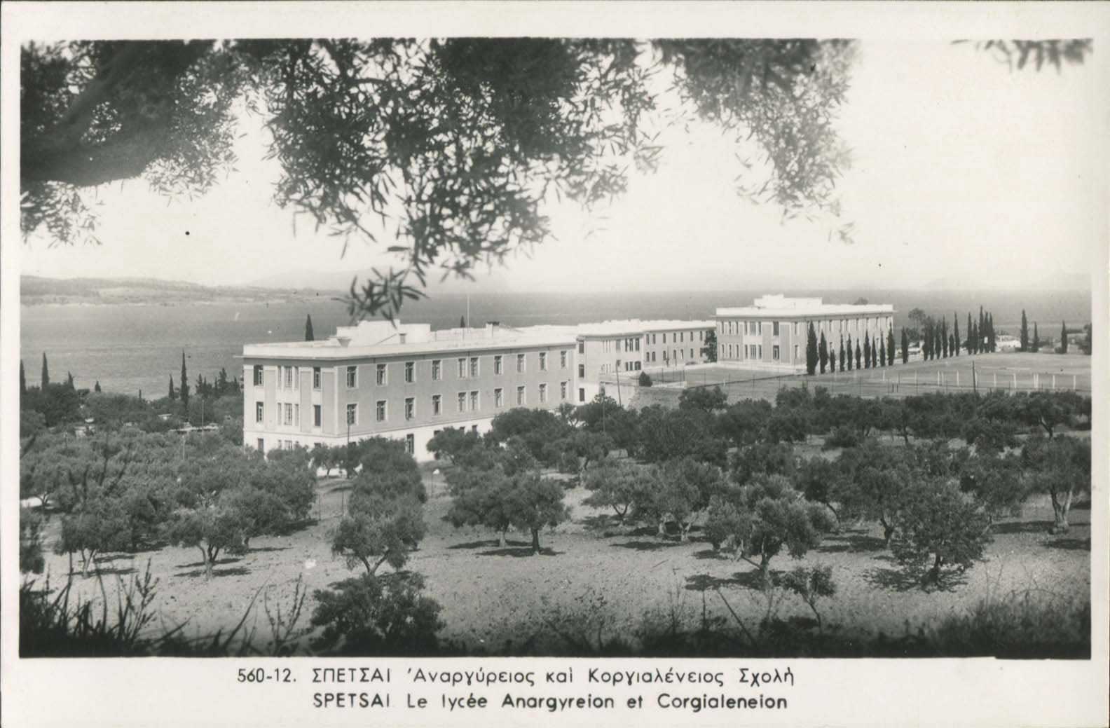 Lot 01478