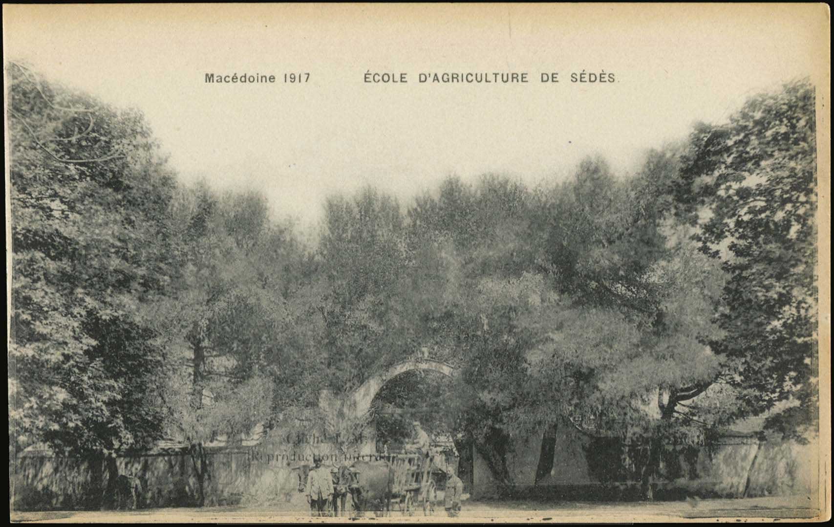 Lot 02457