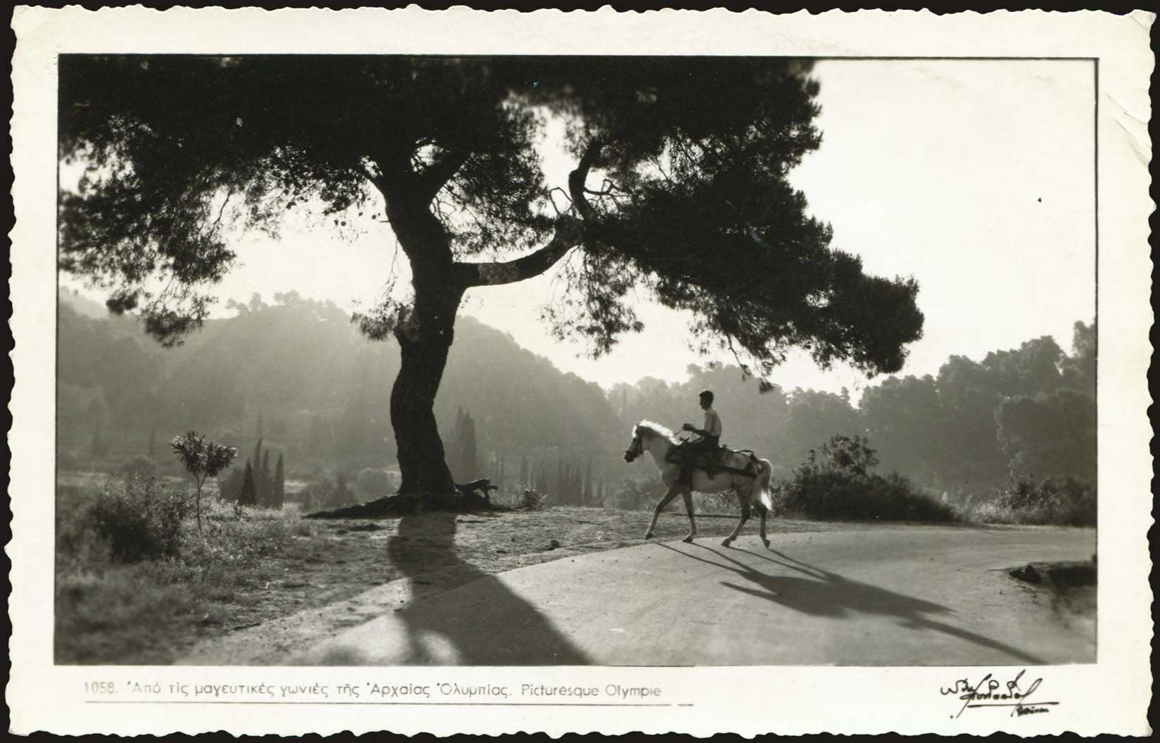 Lot 01850