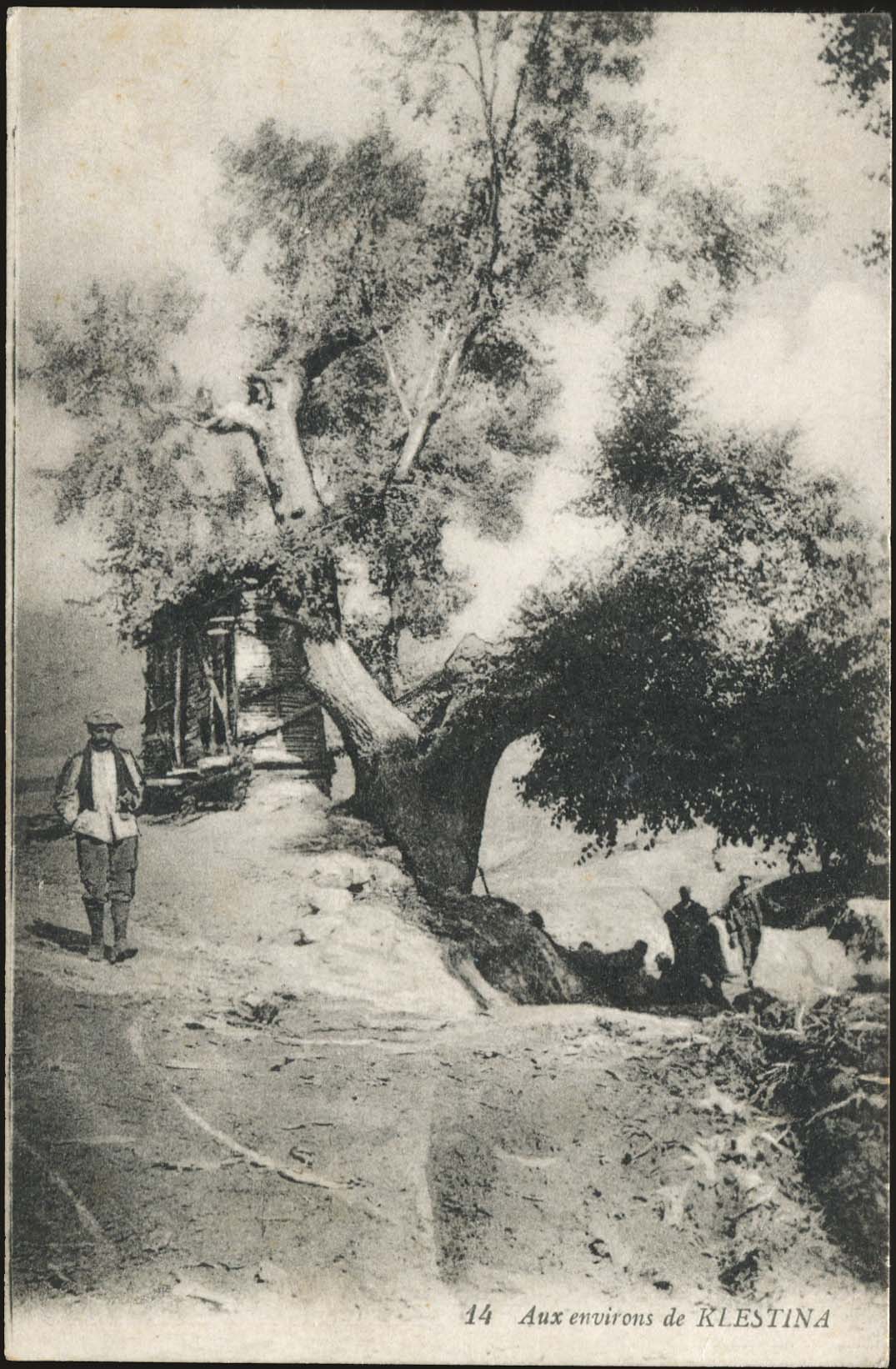 Lot 01545