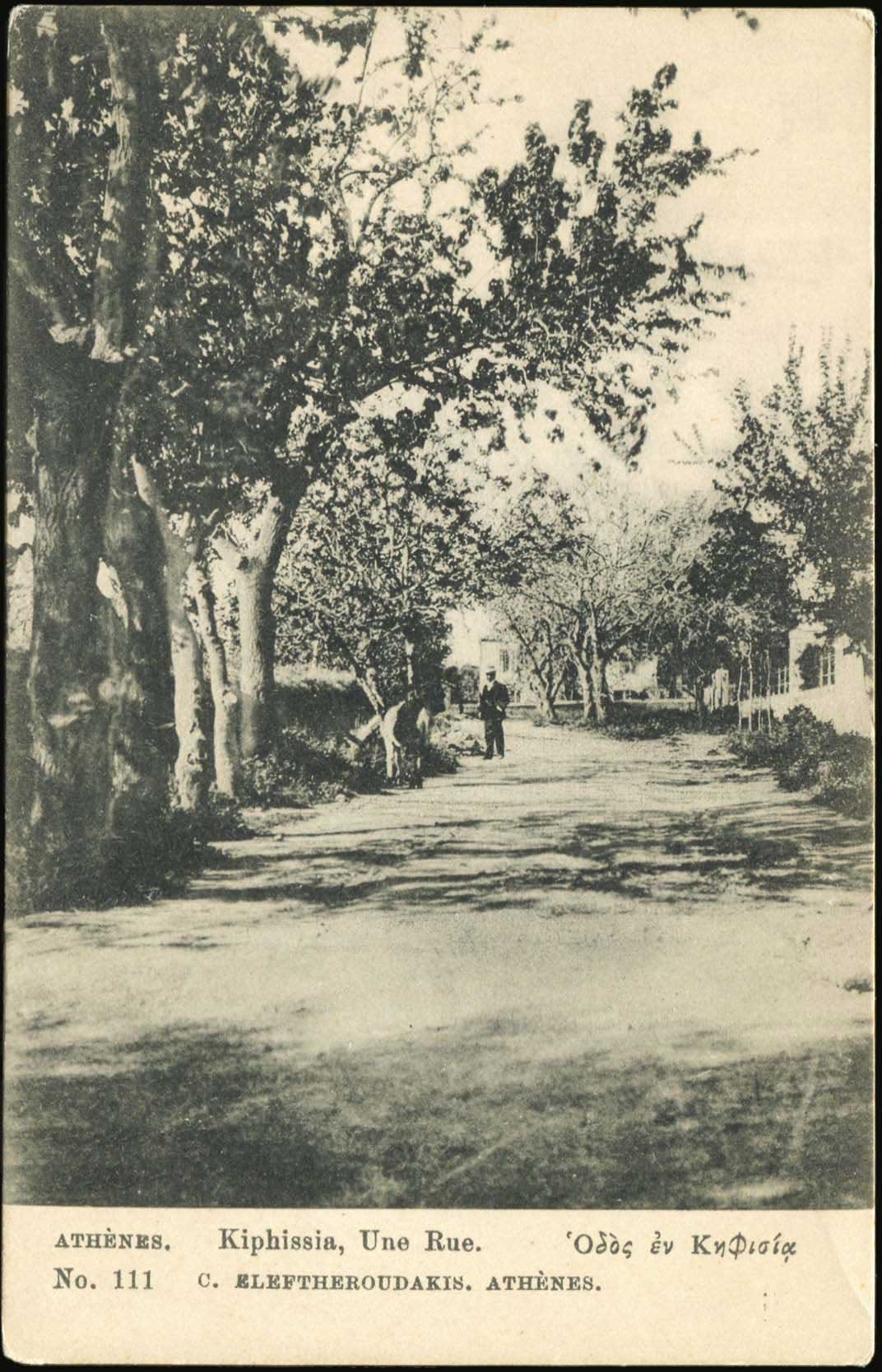 Lot 01472