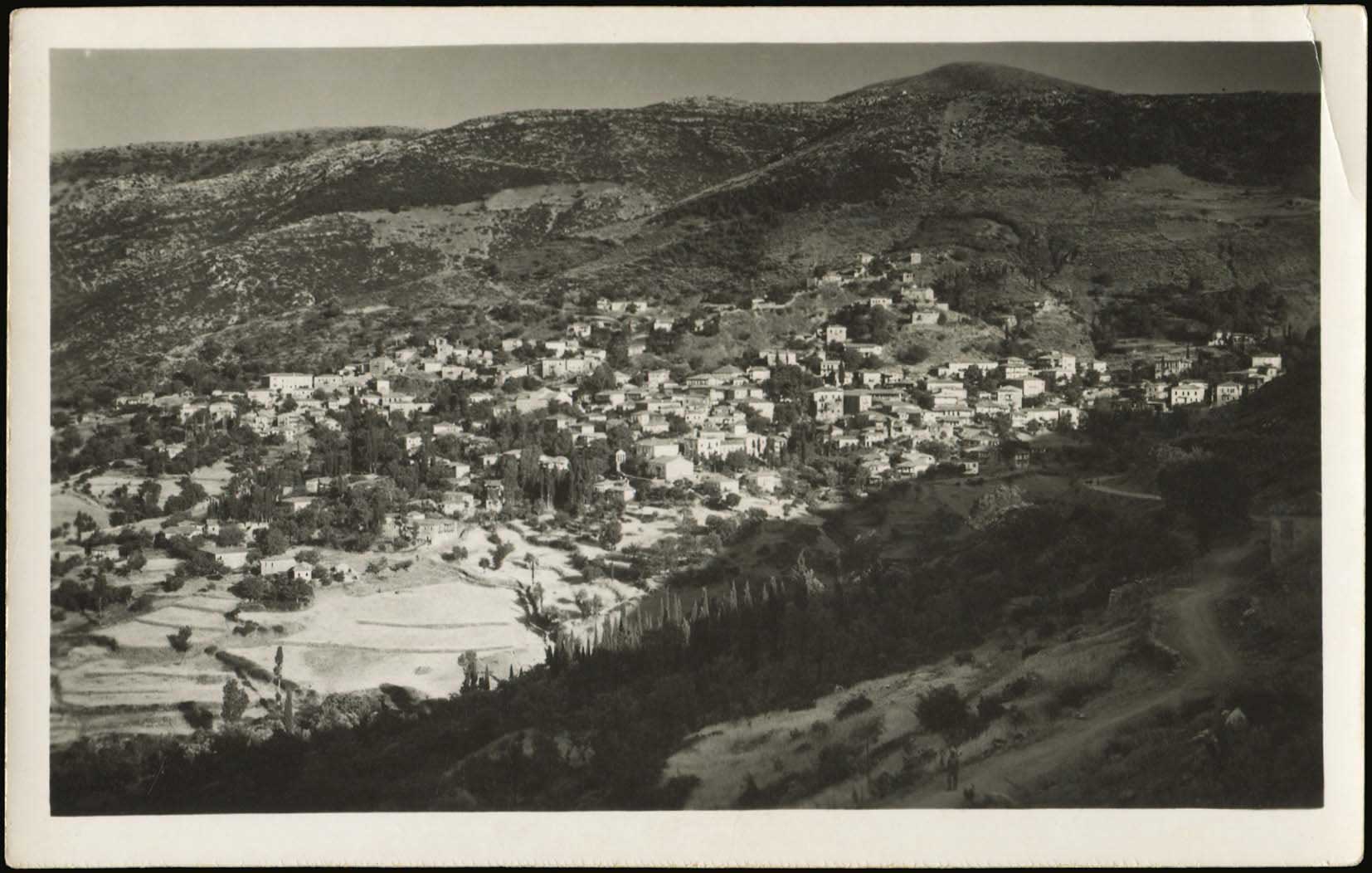 Lot 01398