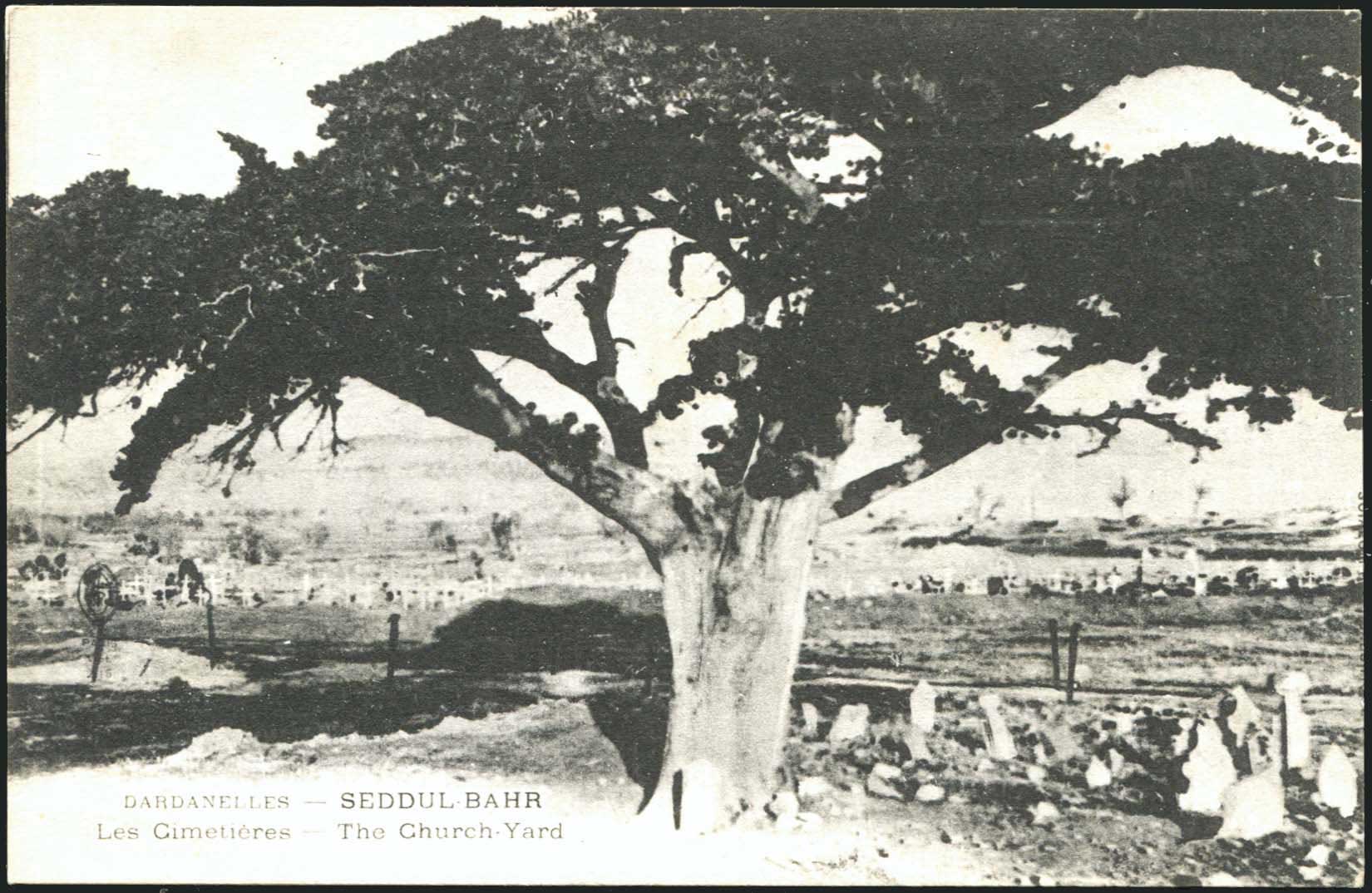 Lot 01819
