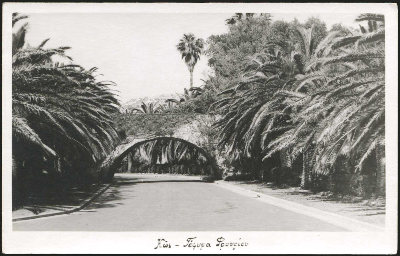 Lot 01307