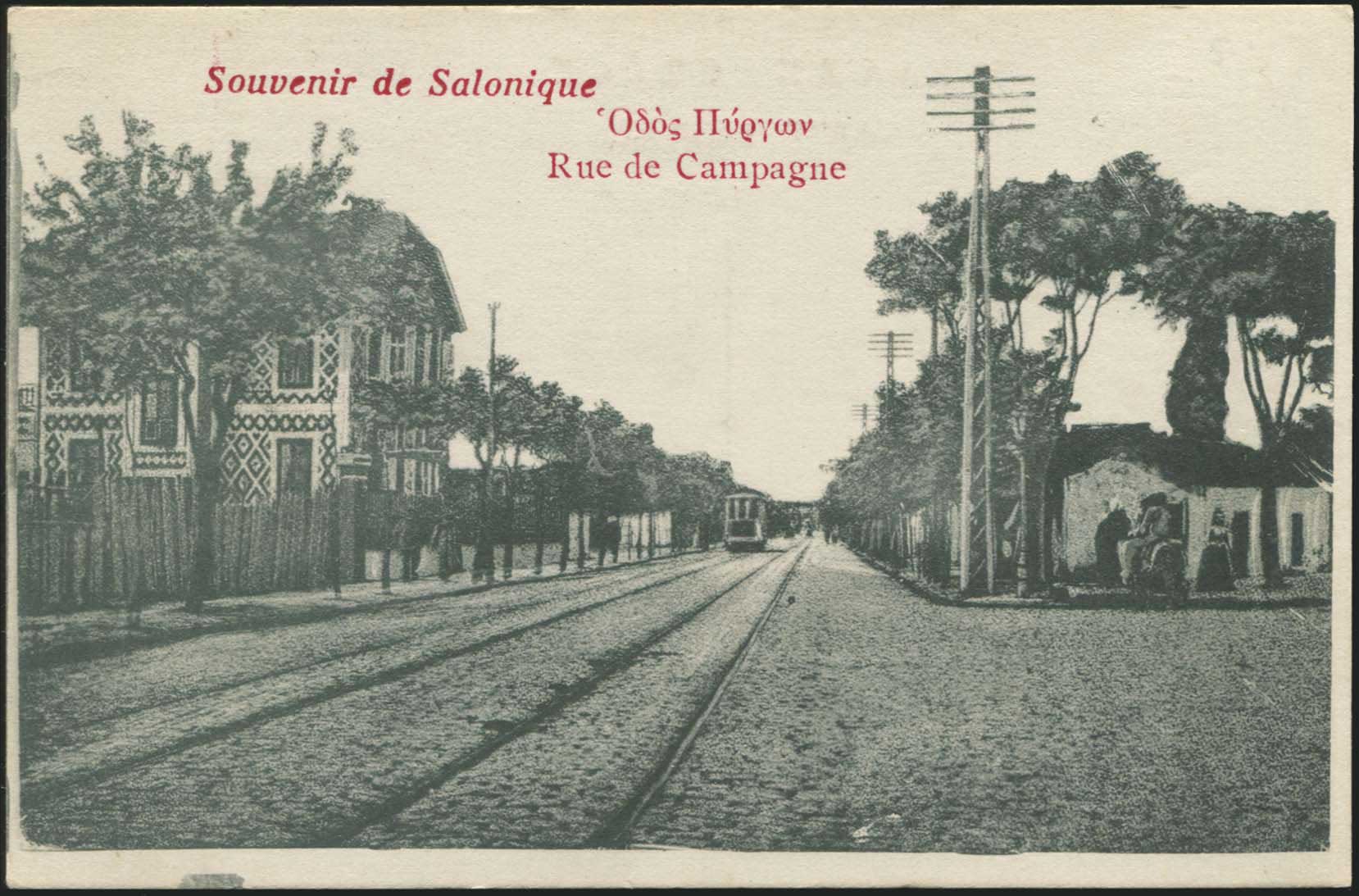 Lot 01913