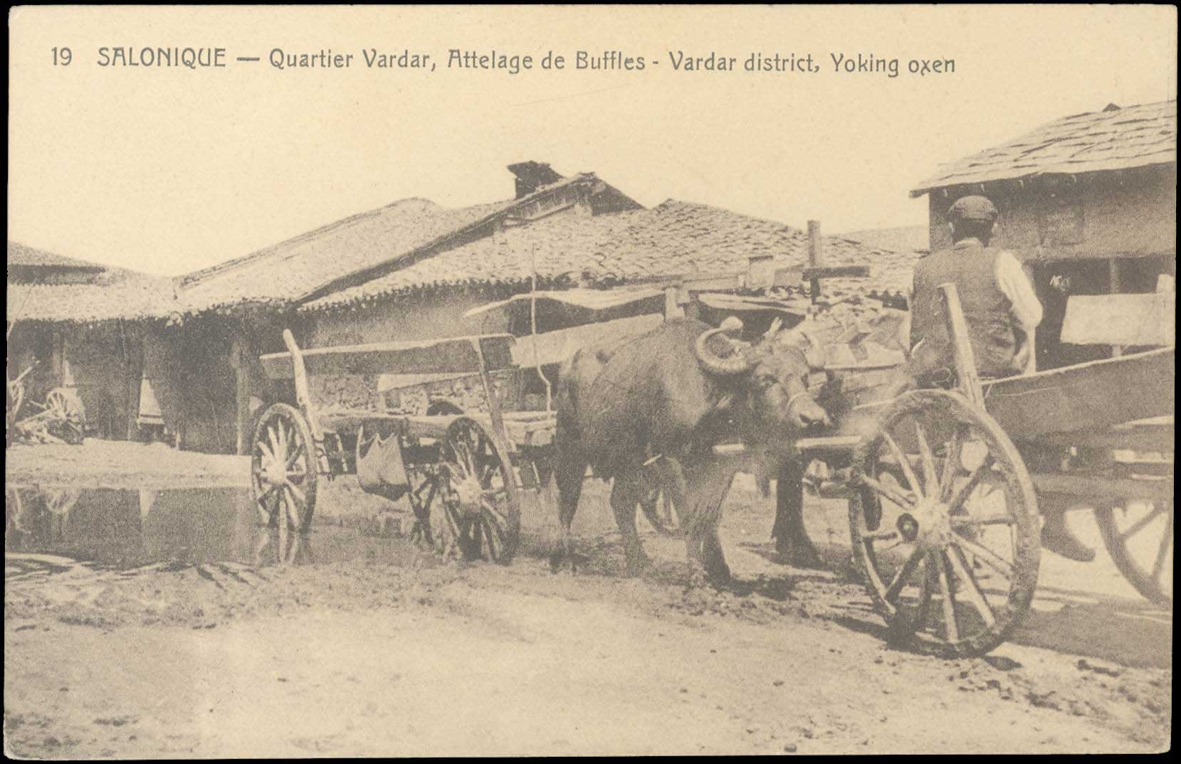 Lot 01645