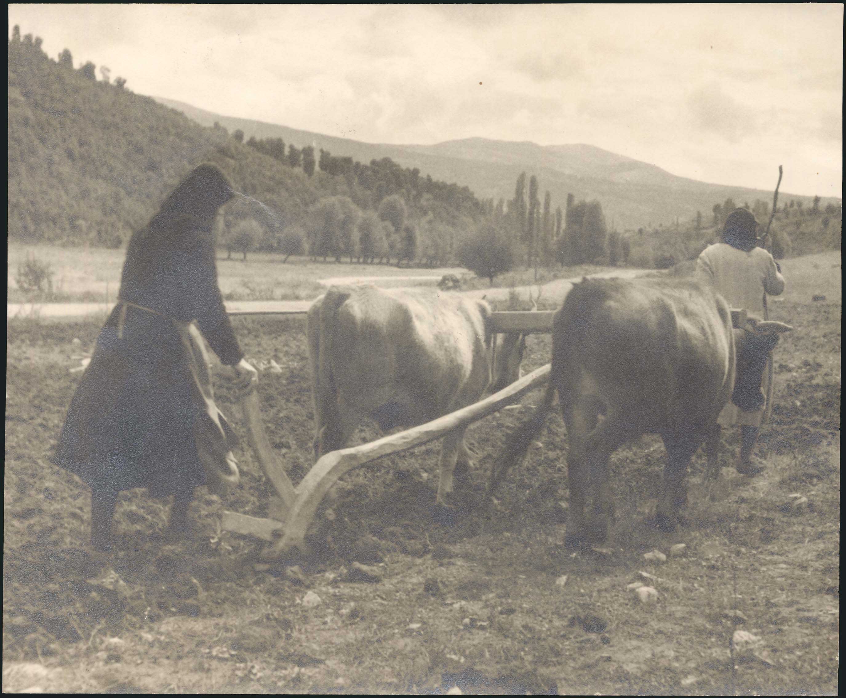 Lot 08207