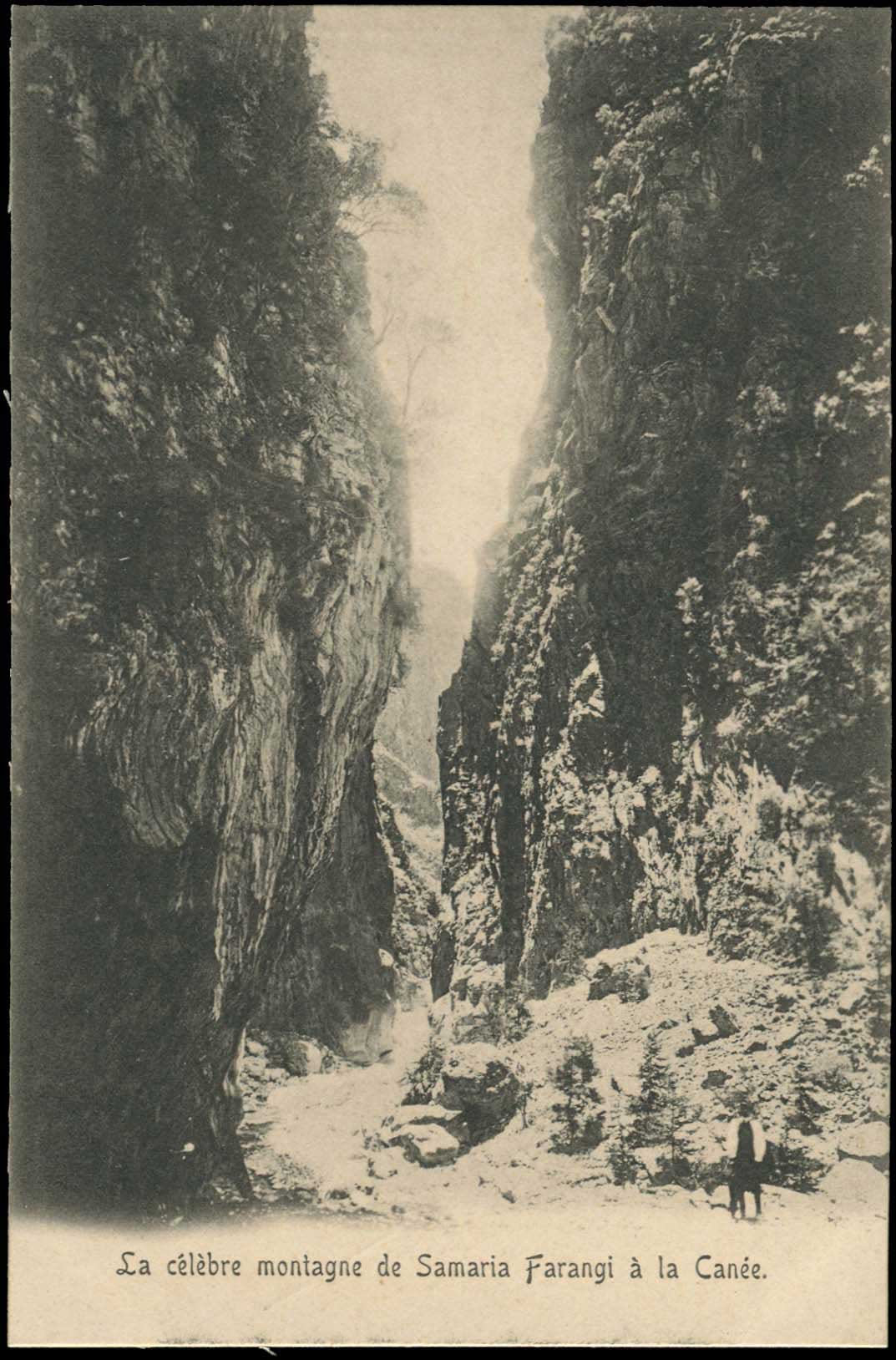 Lot 01342