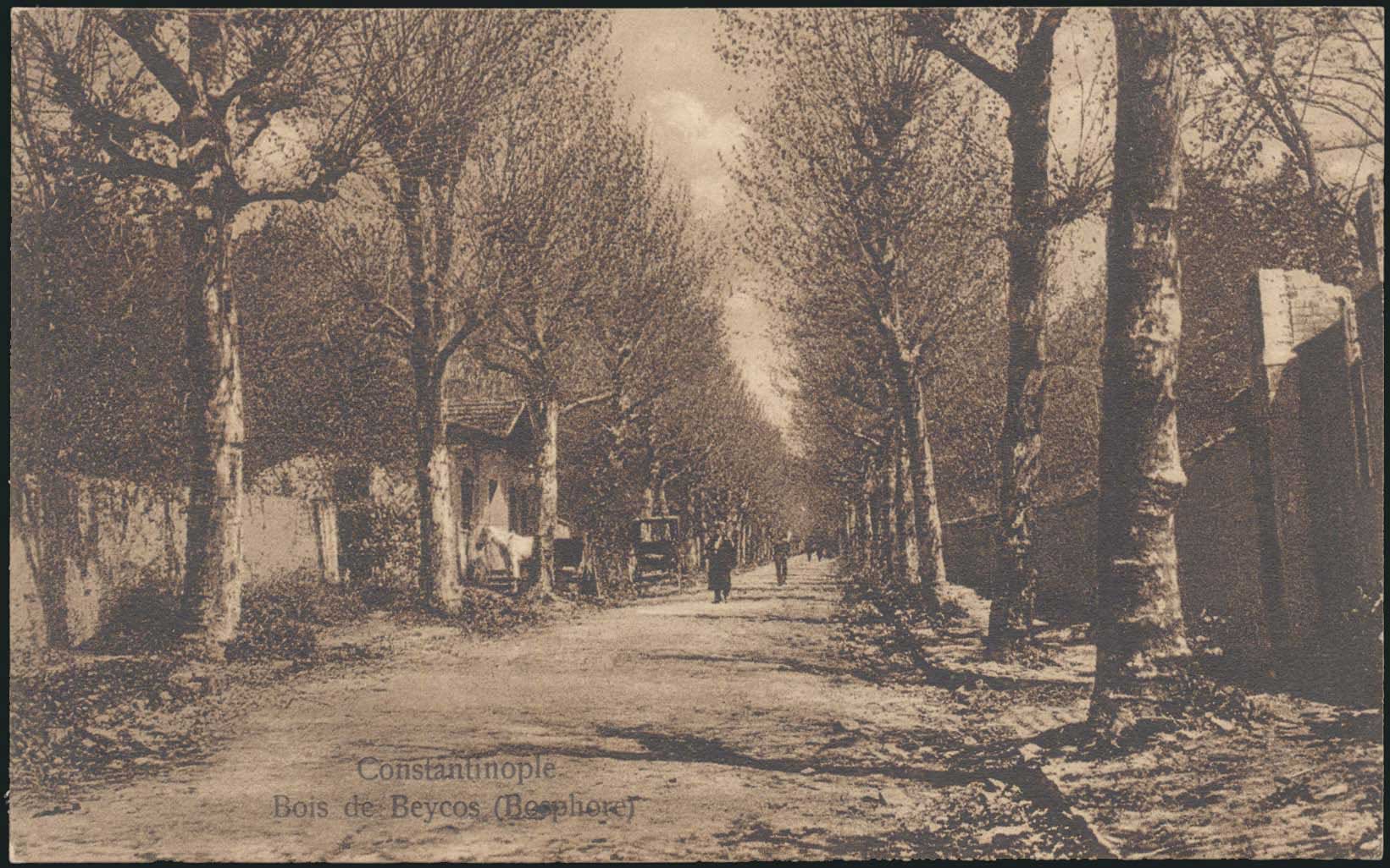 Lot 02033