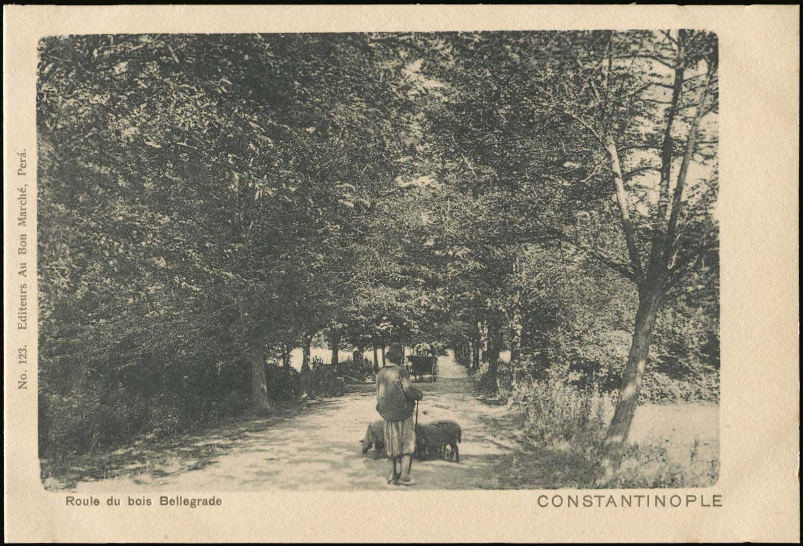 Lot 02382