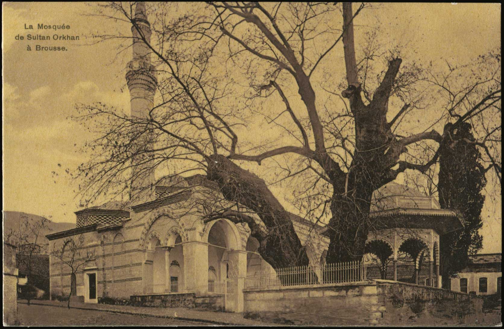 Lot 01842