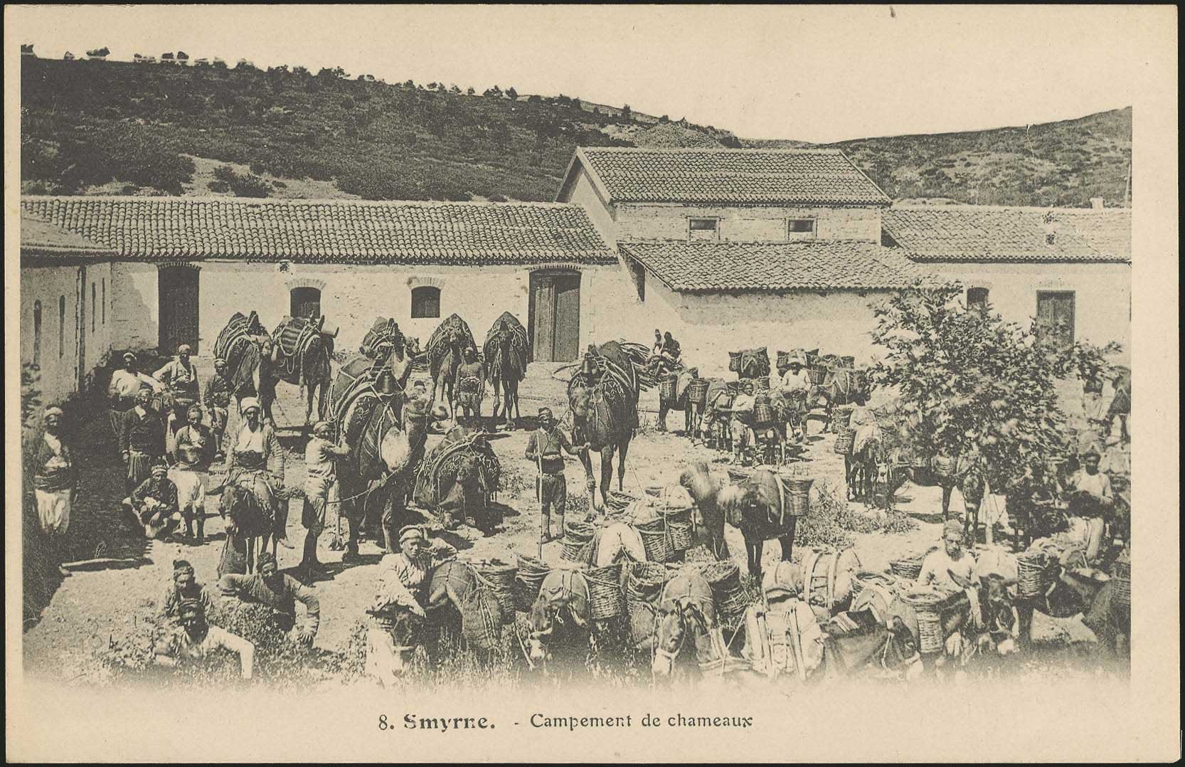 Lot 01739