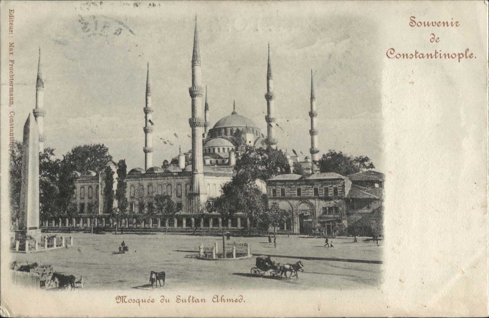 Lot 01831