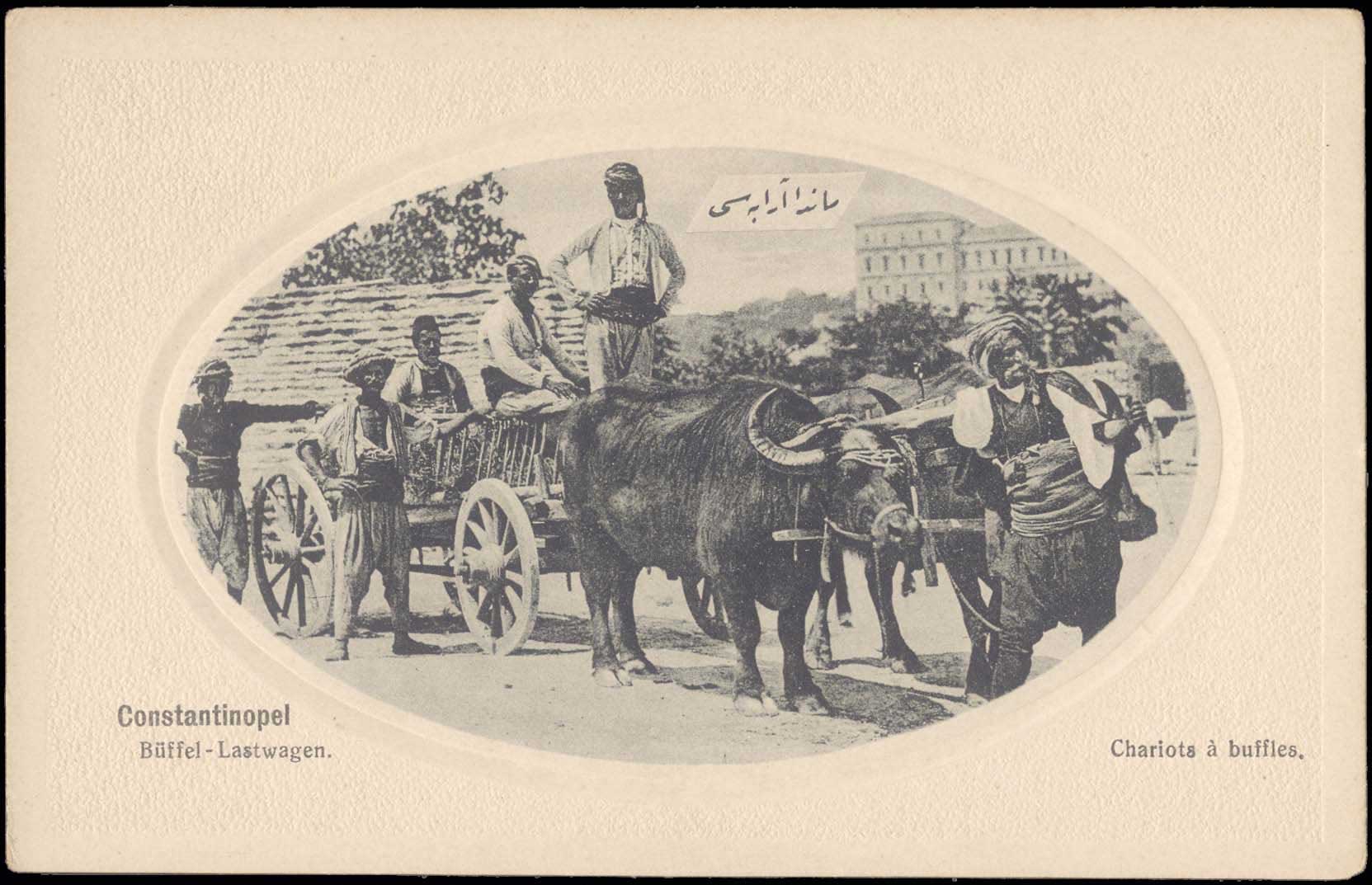 Lot 04052