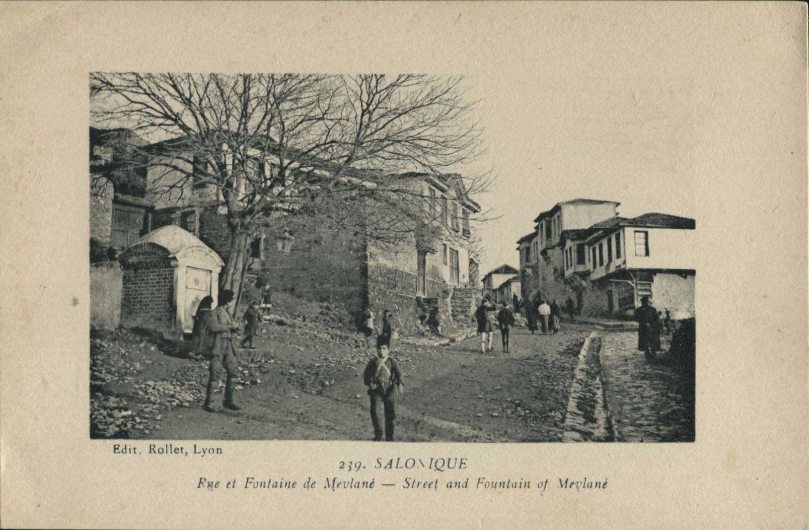 Lot 01469