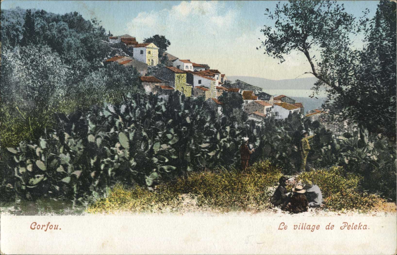 Lot 01443