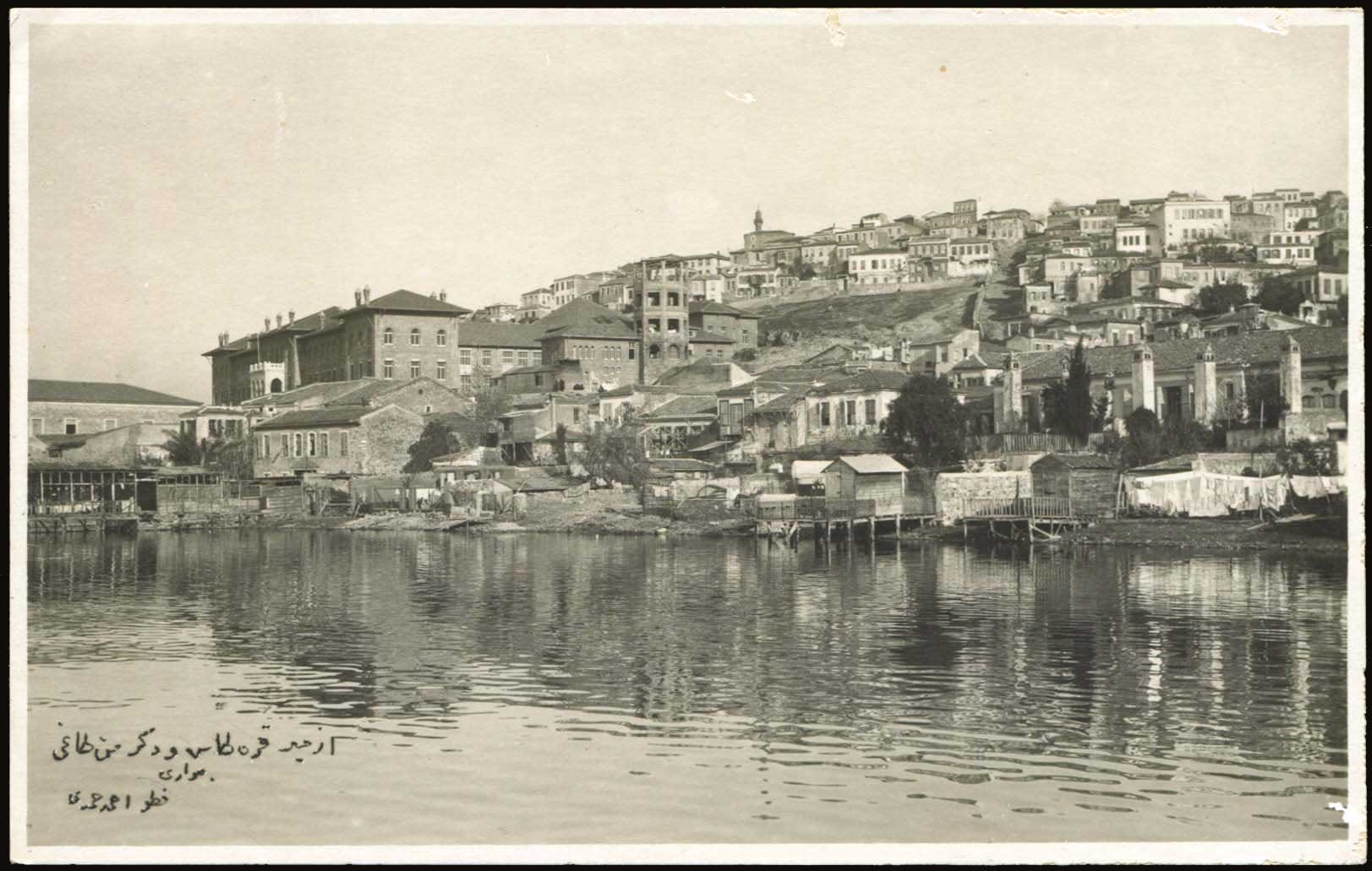 Lot 02446