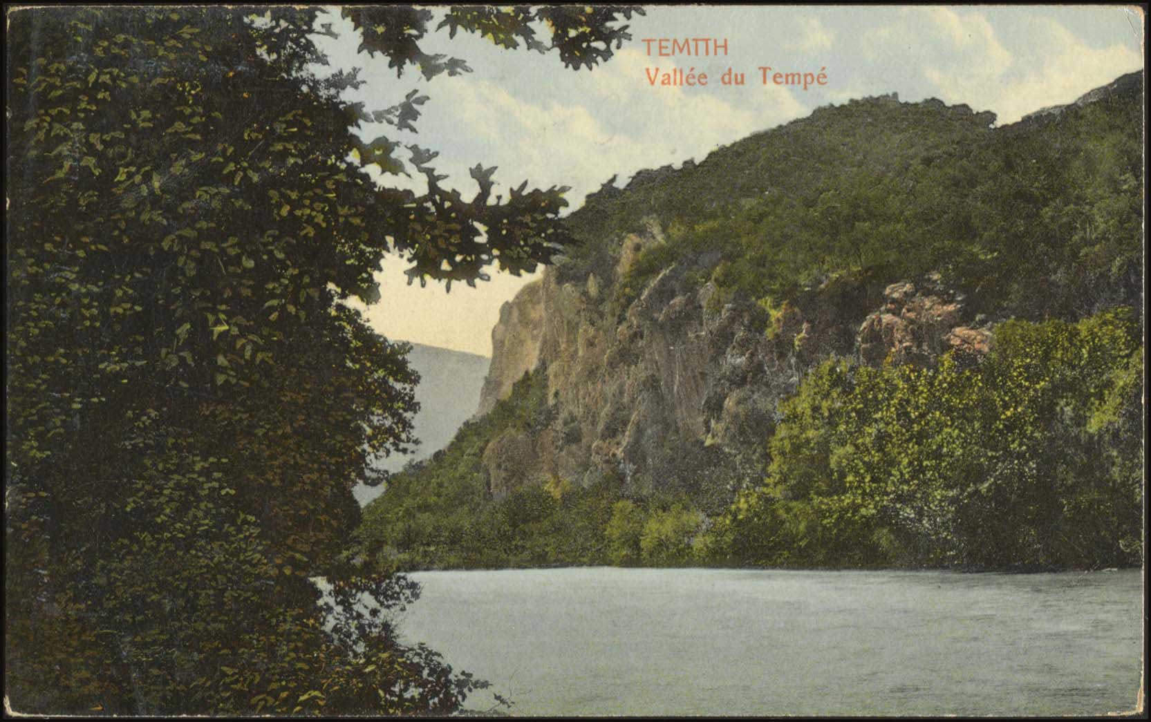 Lot 01464