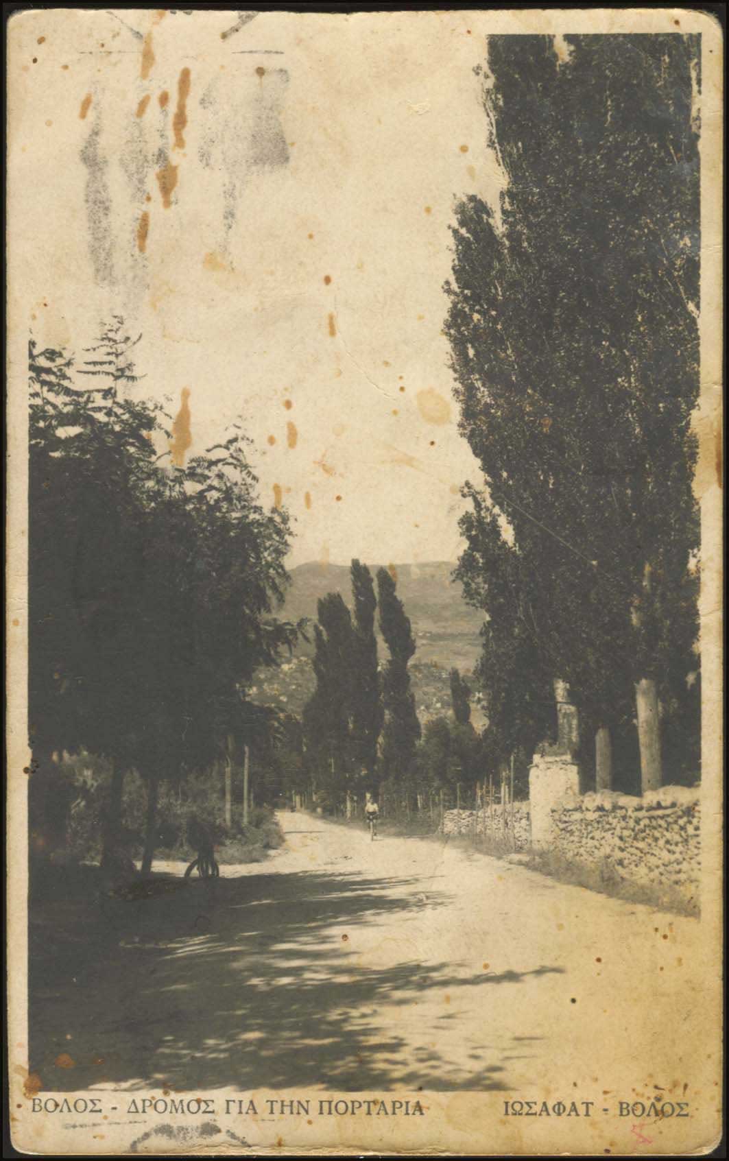 Lot 03927