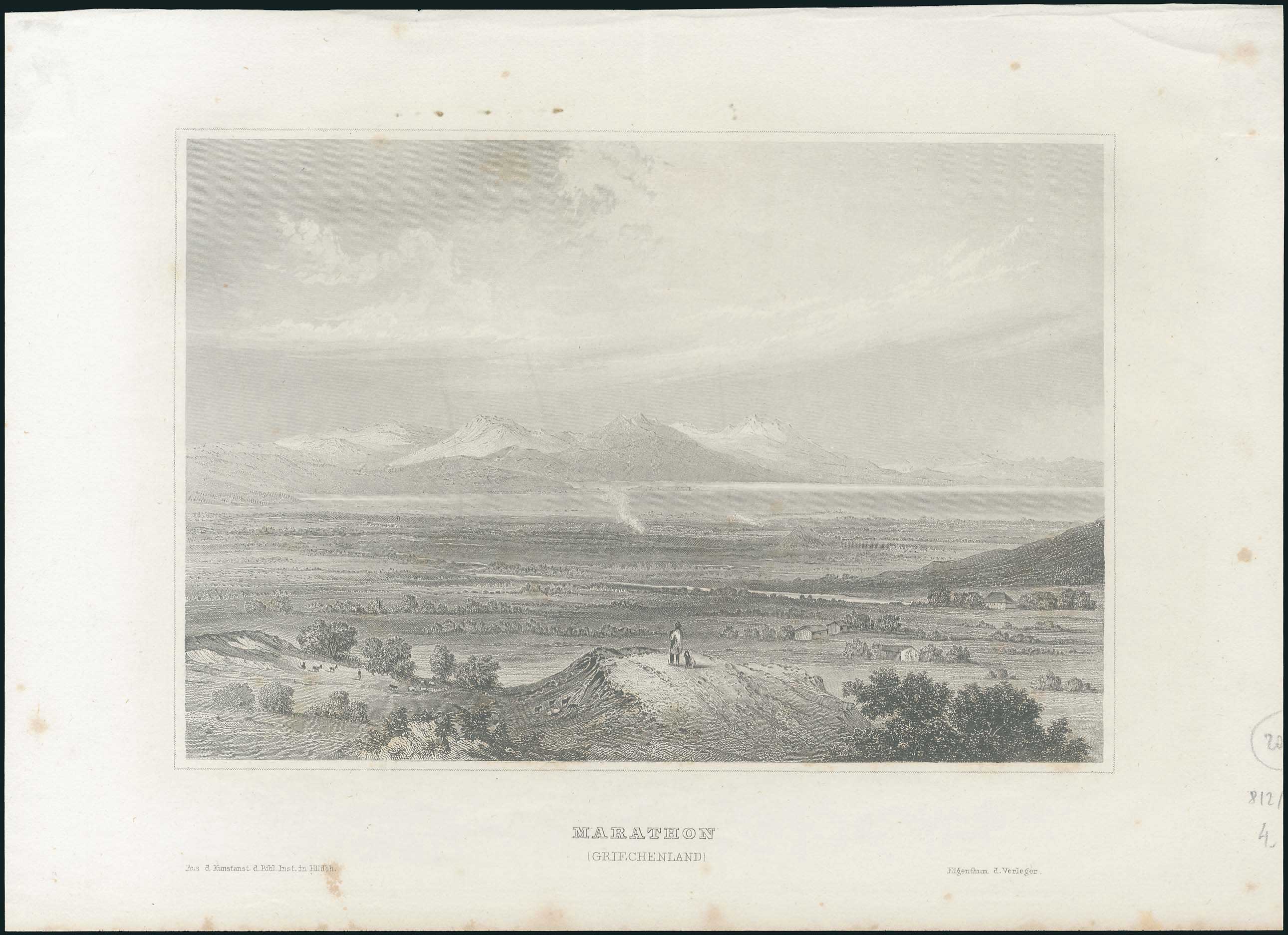 Lot 05239