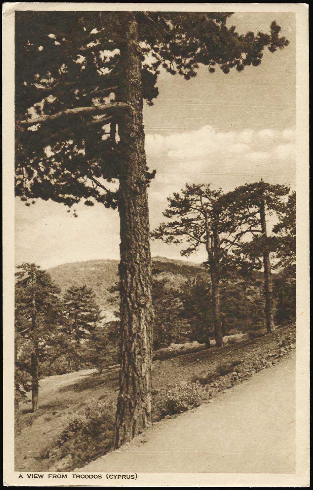 Lot 07391