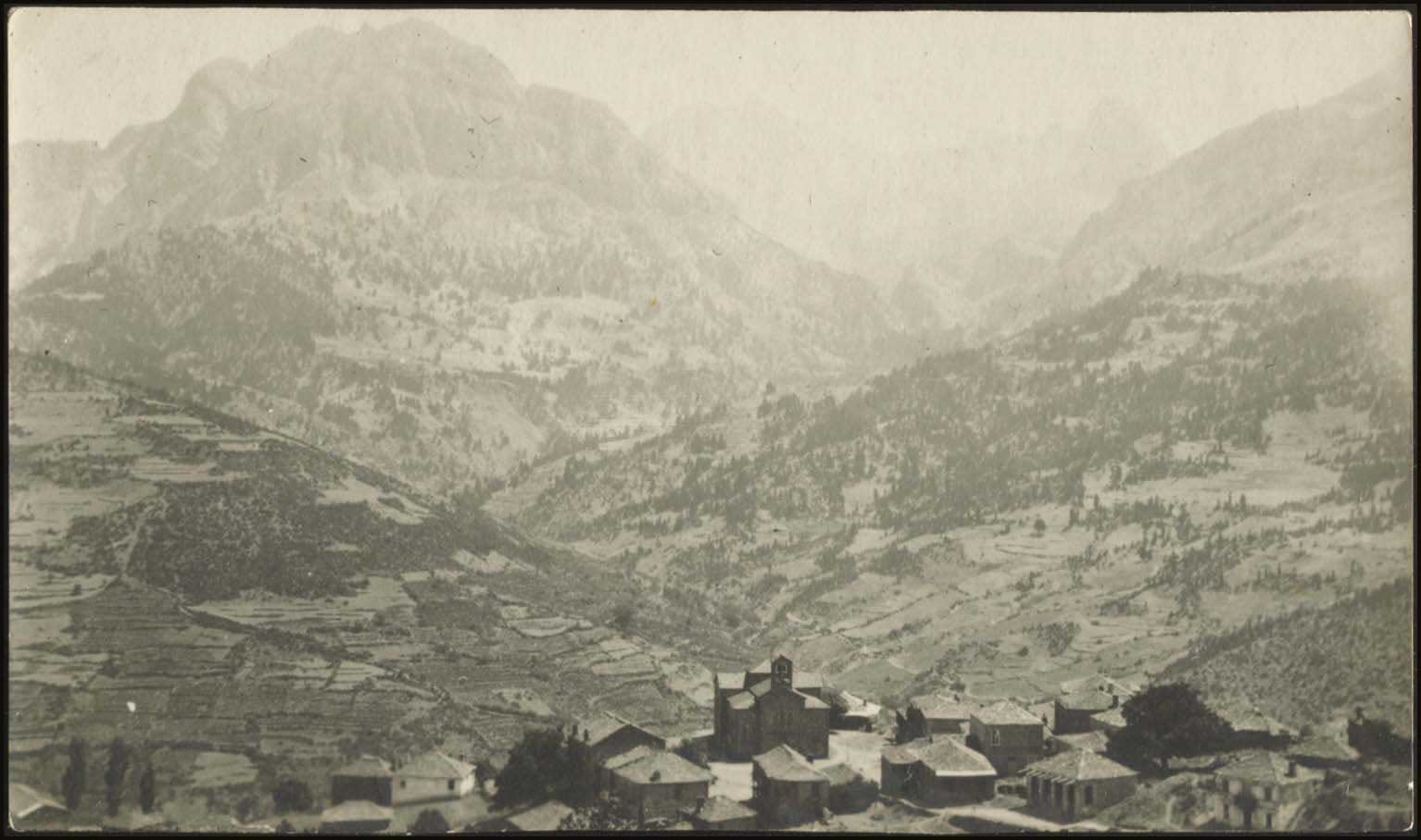 Lot 03916